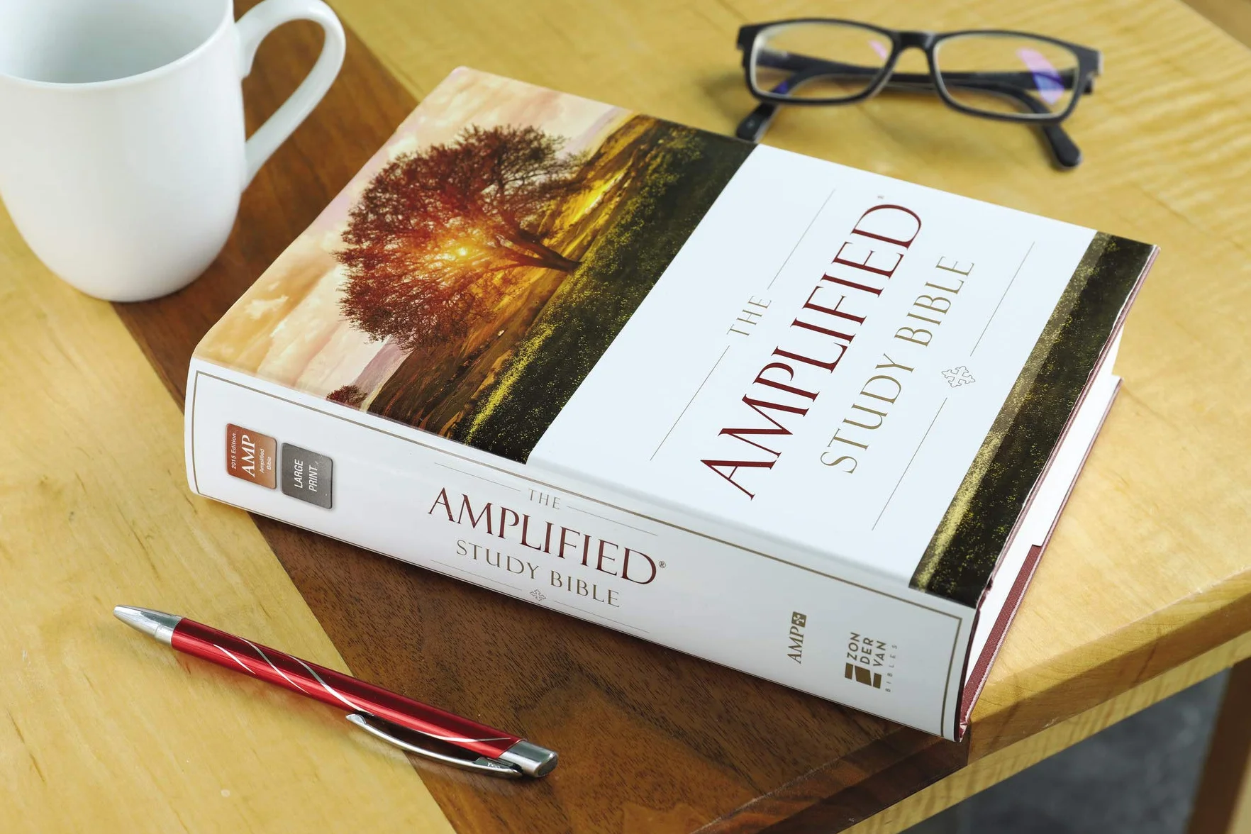 Amplified Study Bible, Hardcover