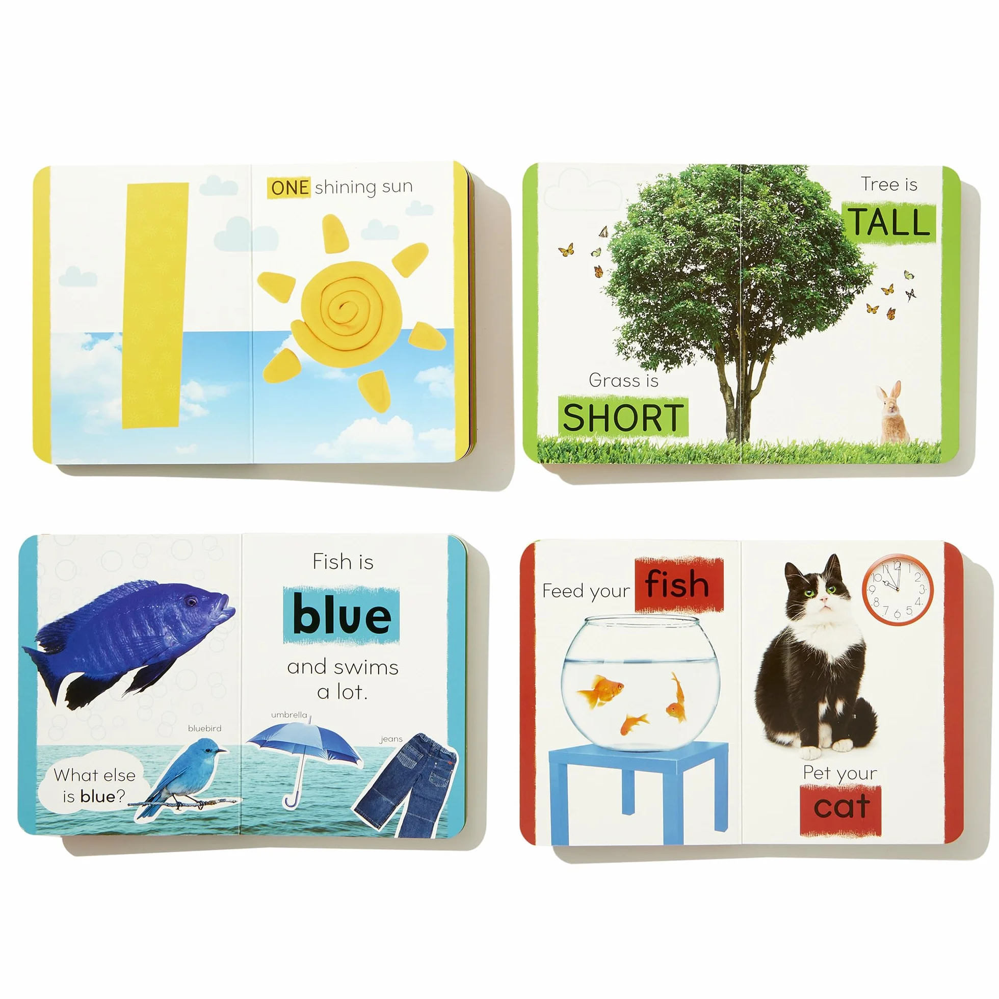 My First Learning Library 4-Book Boxed Set: Includes First Words, Colors, Opposites, and Numbers