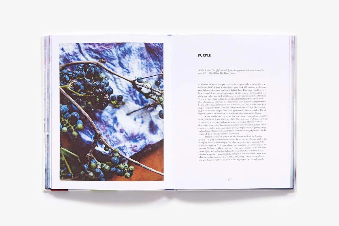 Make Ink: A Forager's Guide to Natural Inkmaking