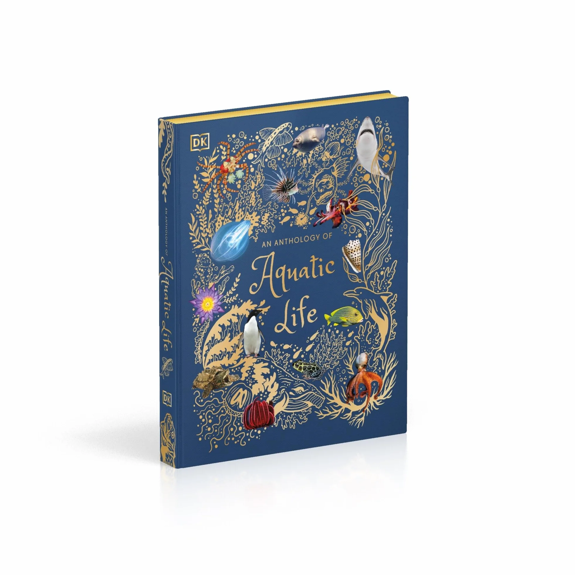 An Anthology of Aquatic Life: Discover the Secret Lives Under the Sea