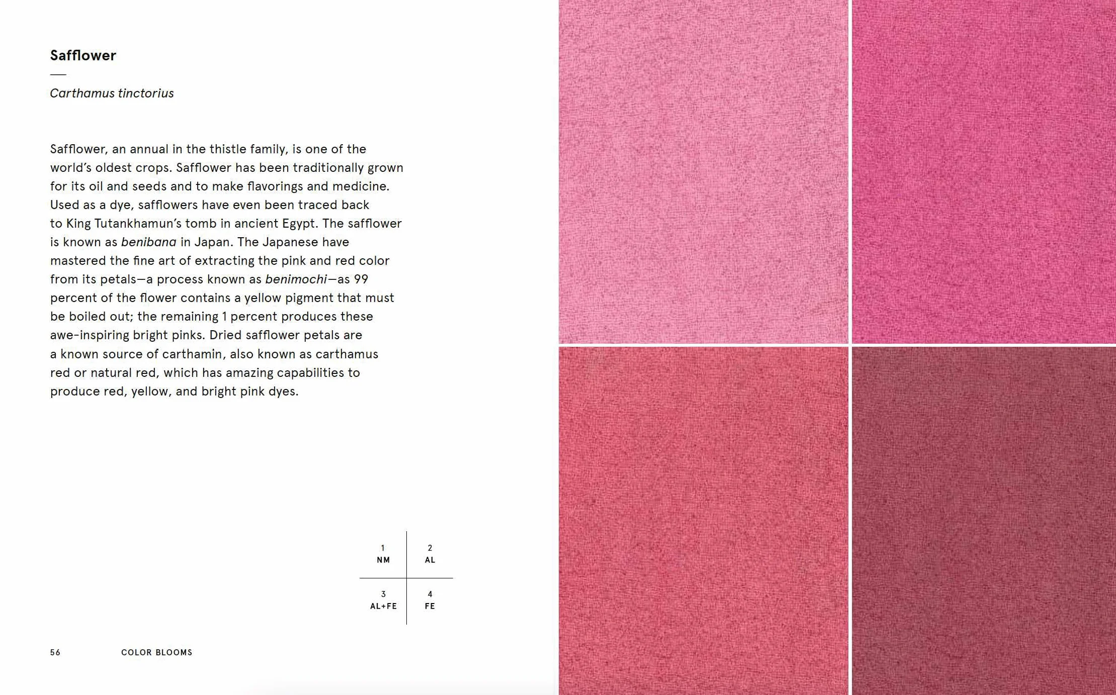 Natural Palettes: Inspiration from Plant-Based Color