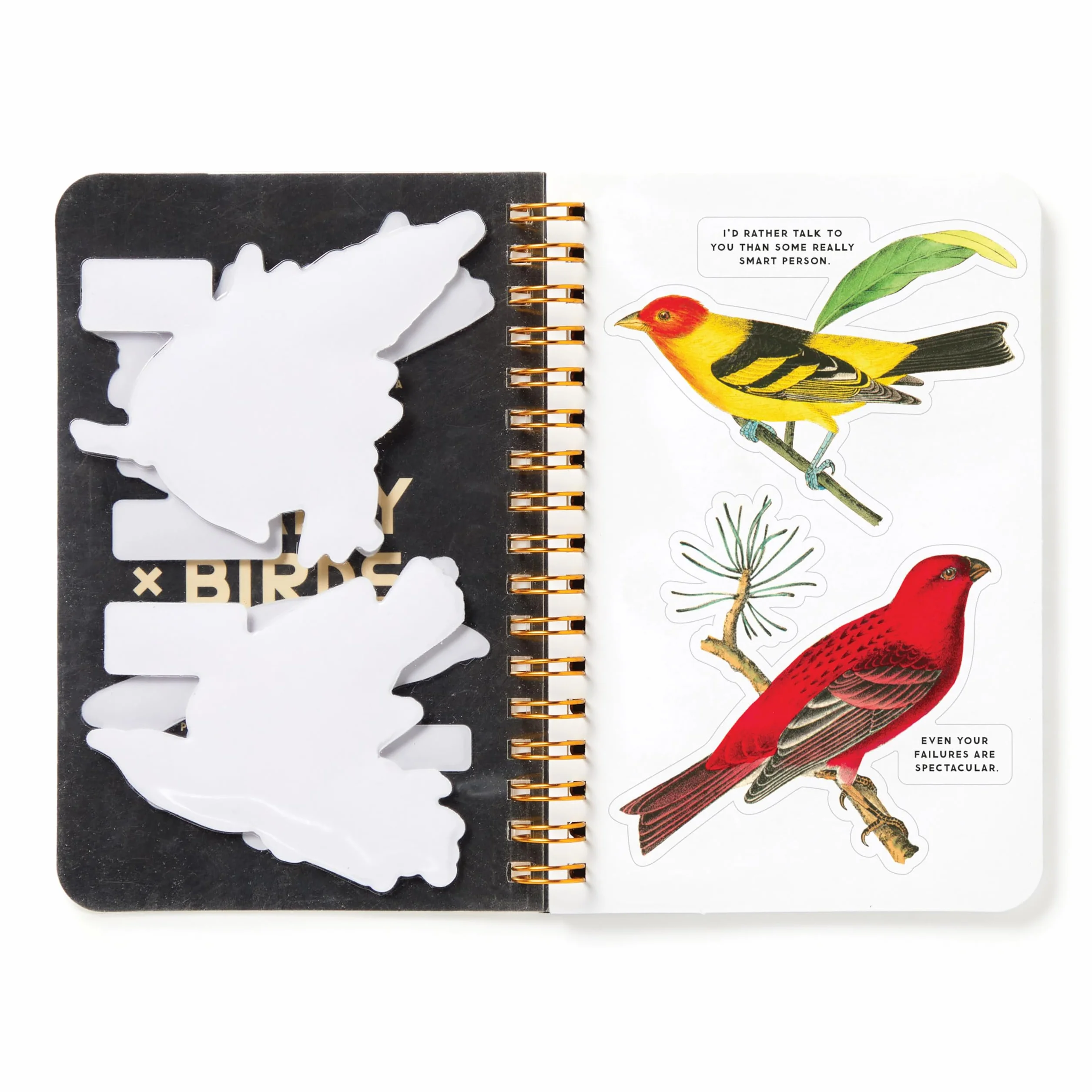 Salty Birds Sticker Book