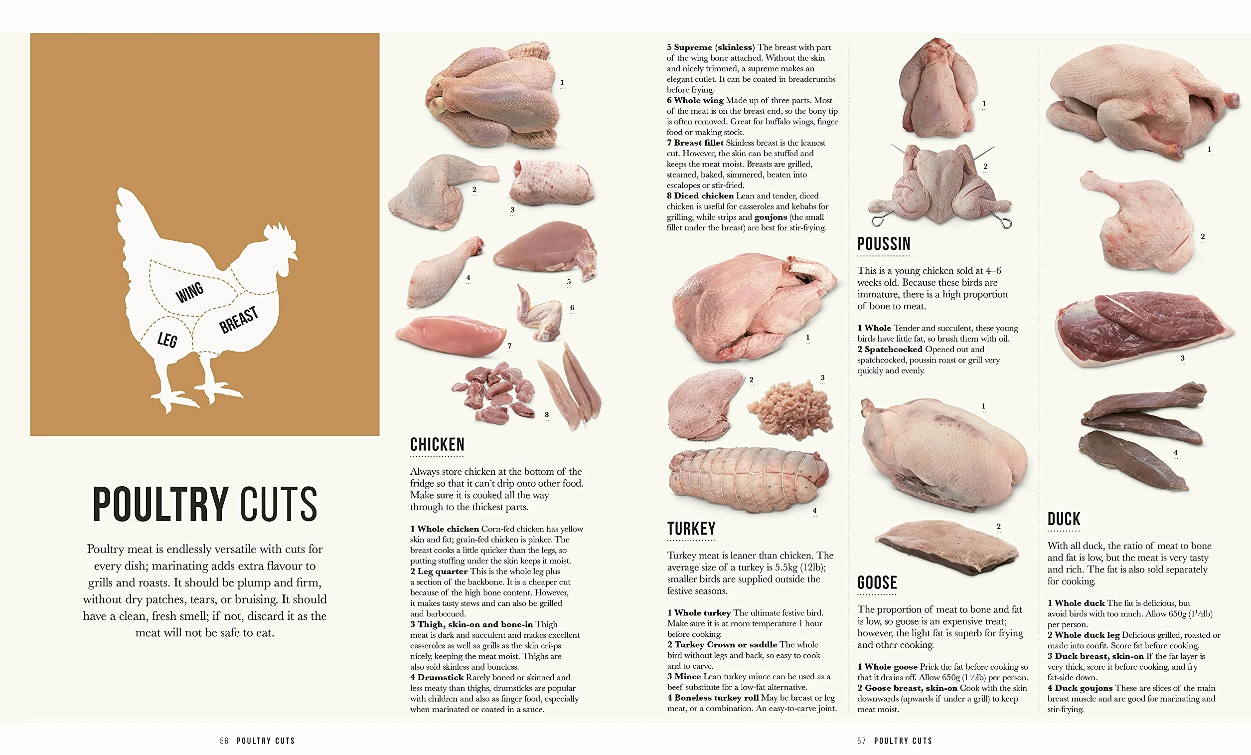 The Meat Cookbook: Know the Cuts, Master the Skills, over 250 Recipes