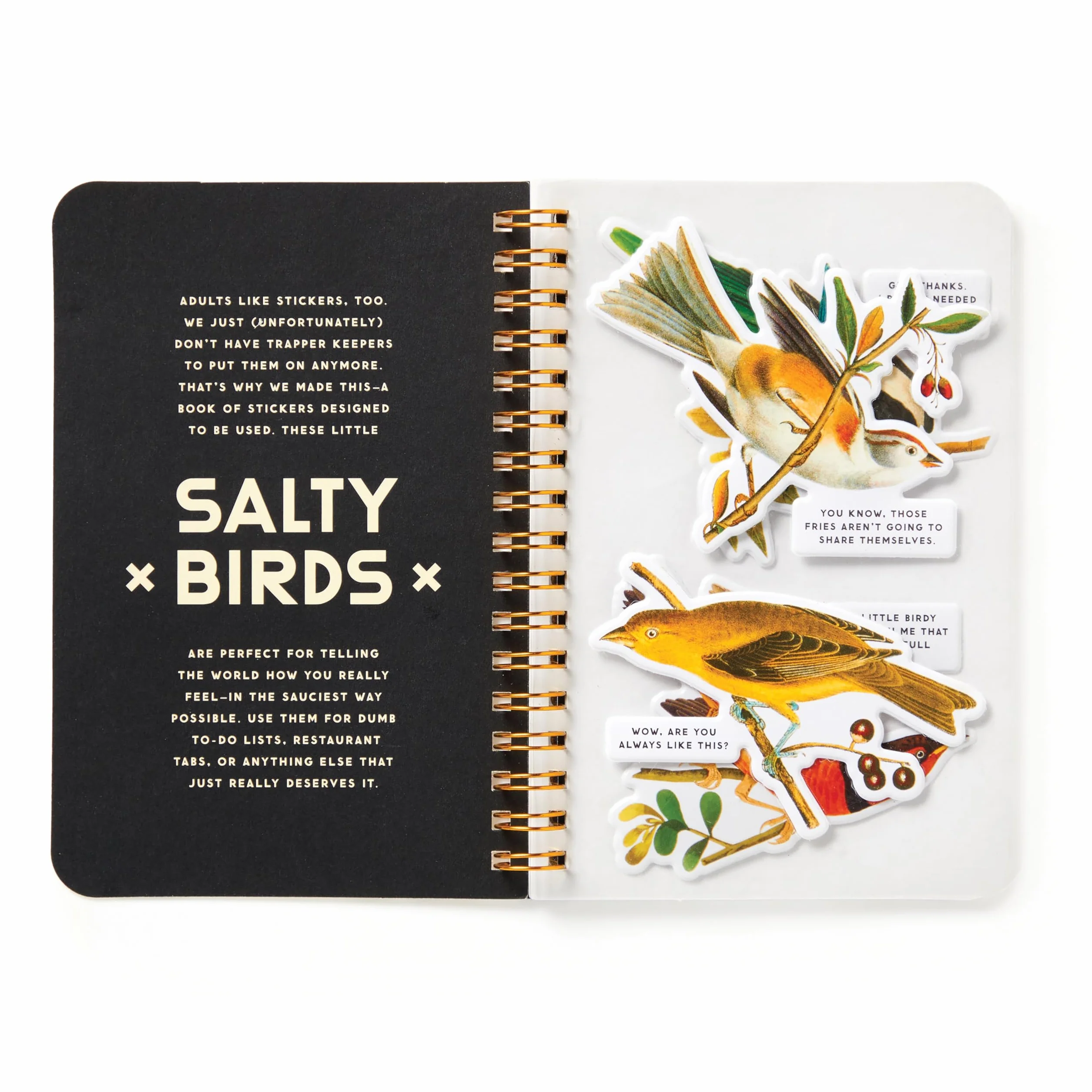 Salty Birds Sticker Book