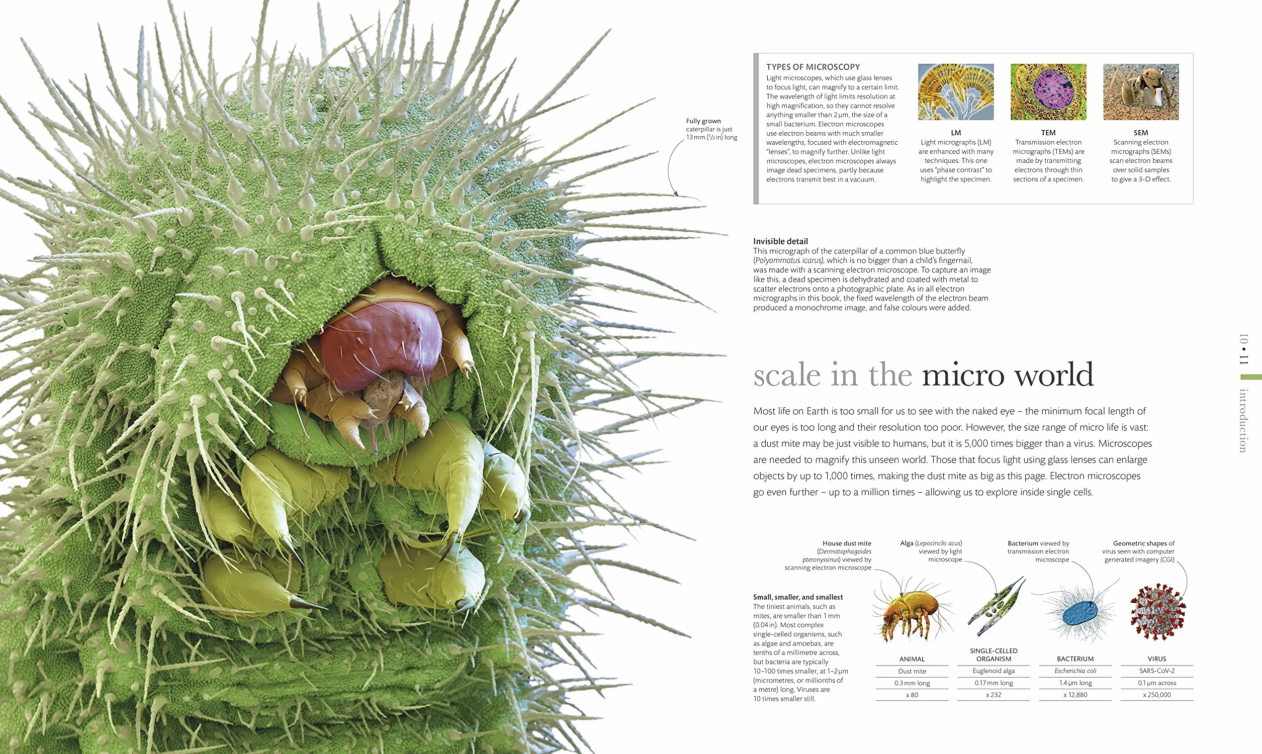 Micro Life: Miracles of the Miniature World Revealed