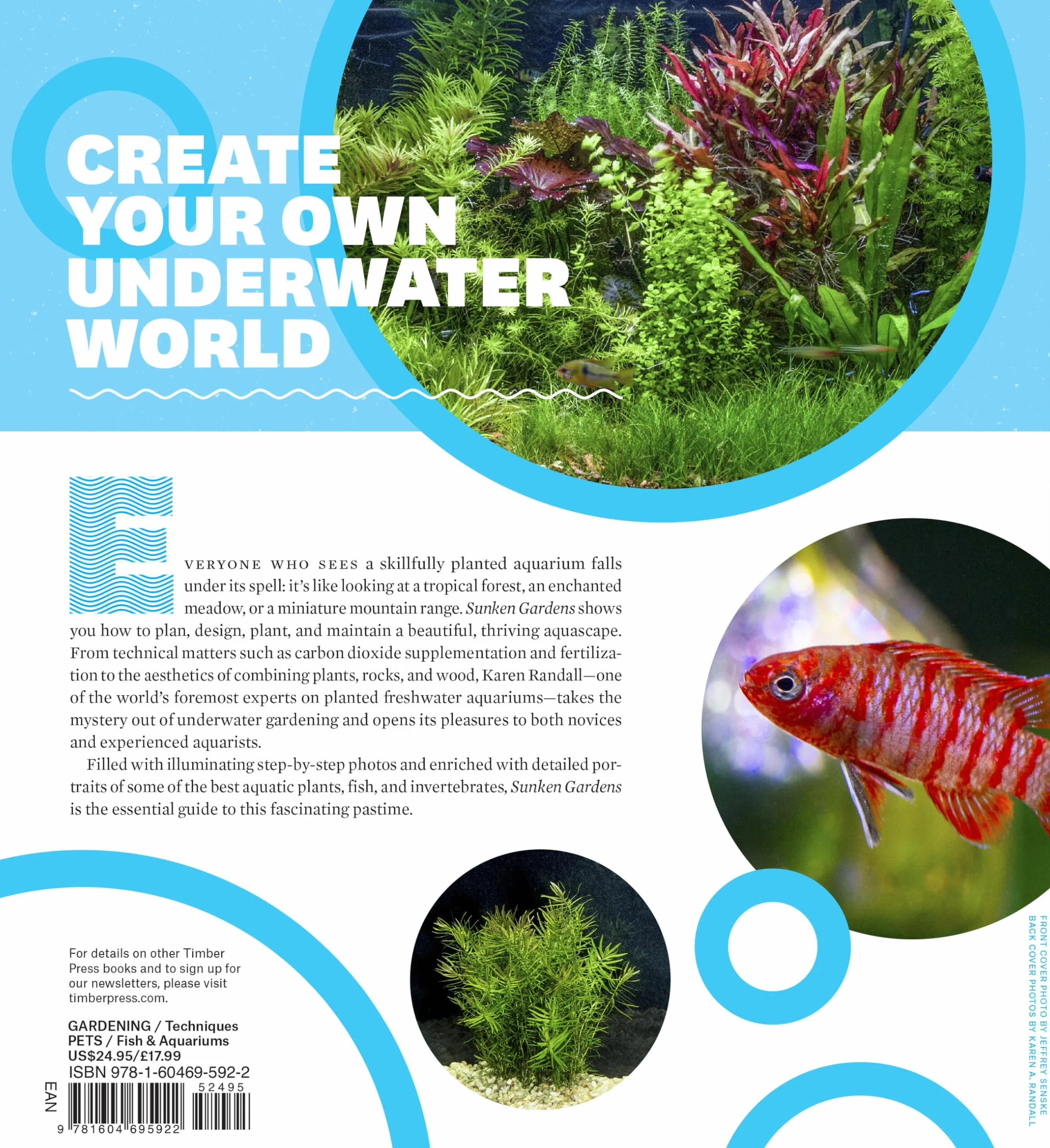 Sunken Gardens: A Step-By-Step Guide to Planting Freshwater Aquariums