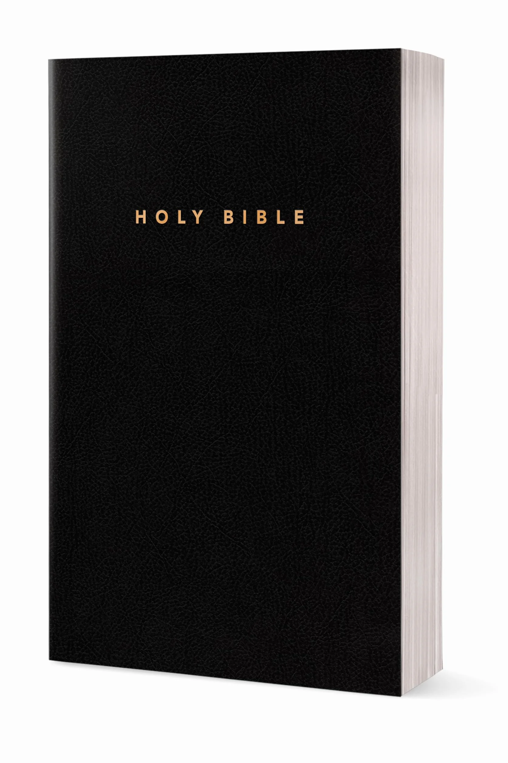 Holy Bible : New Living Translation