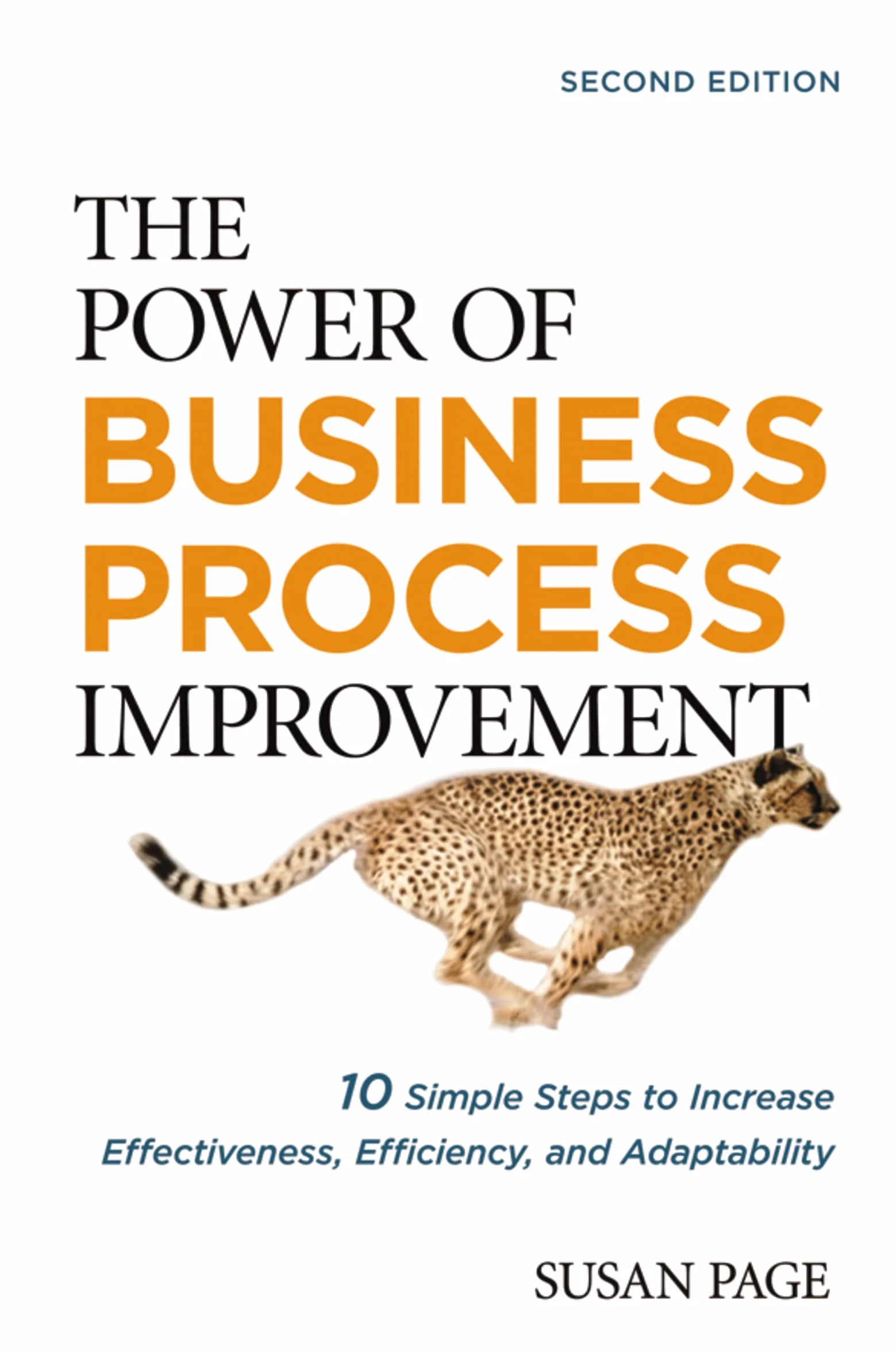 The Power of Business Process Improvement: 10 Simple Steps to Increase Effectiveness, Efficiency, and Adaptability