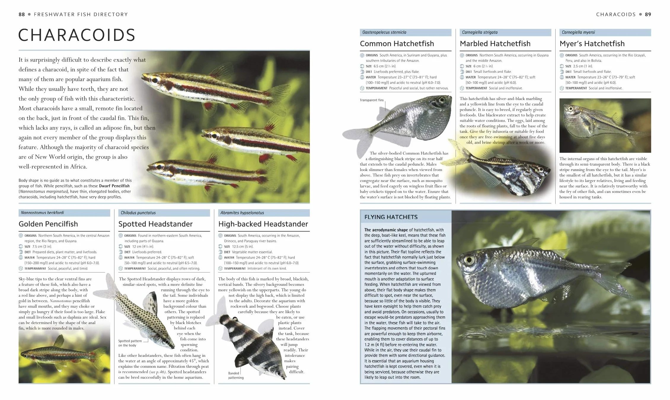 Encyclopedia of Aquarium and Pond Fish