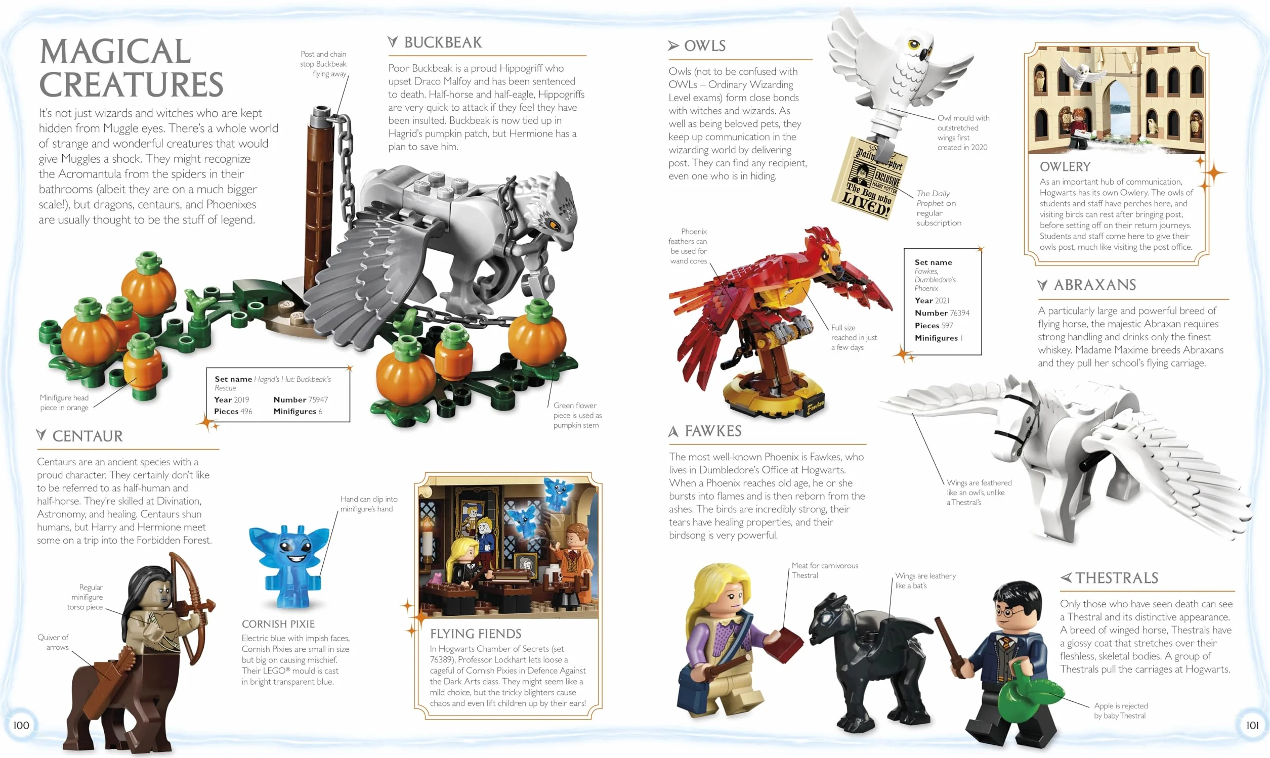 LEGO Harry Potter Visual Dictionary: With Exclusive Minifigure