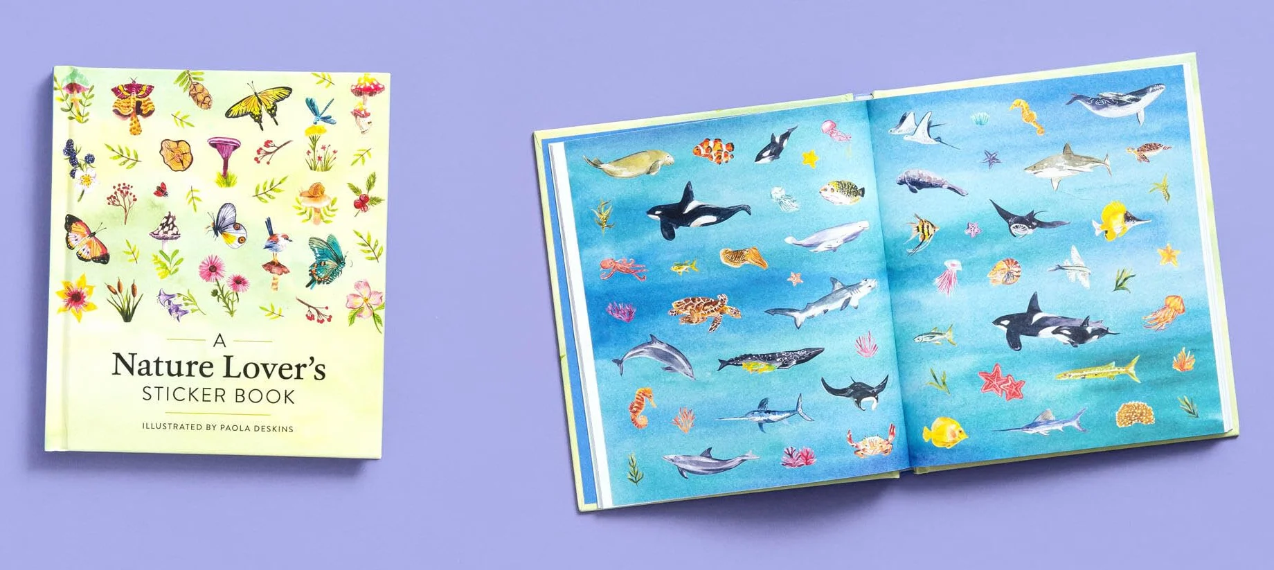 A Nature Lover's Sticker Book