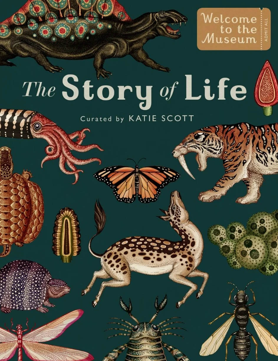 The Story of Life: Evolution (Extended Edition): by Ruth Symons and illustrator Katie Scott