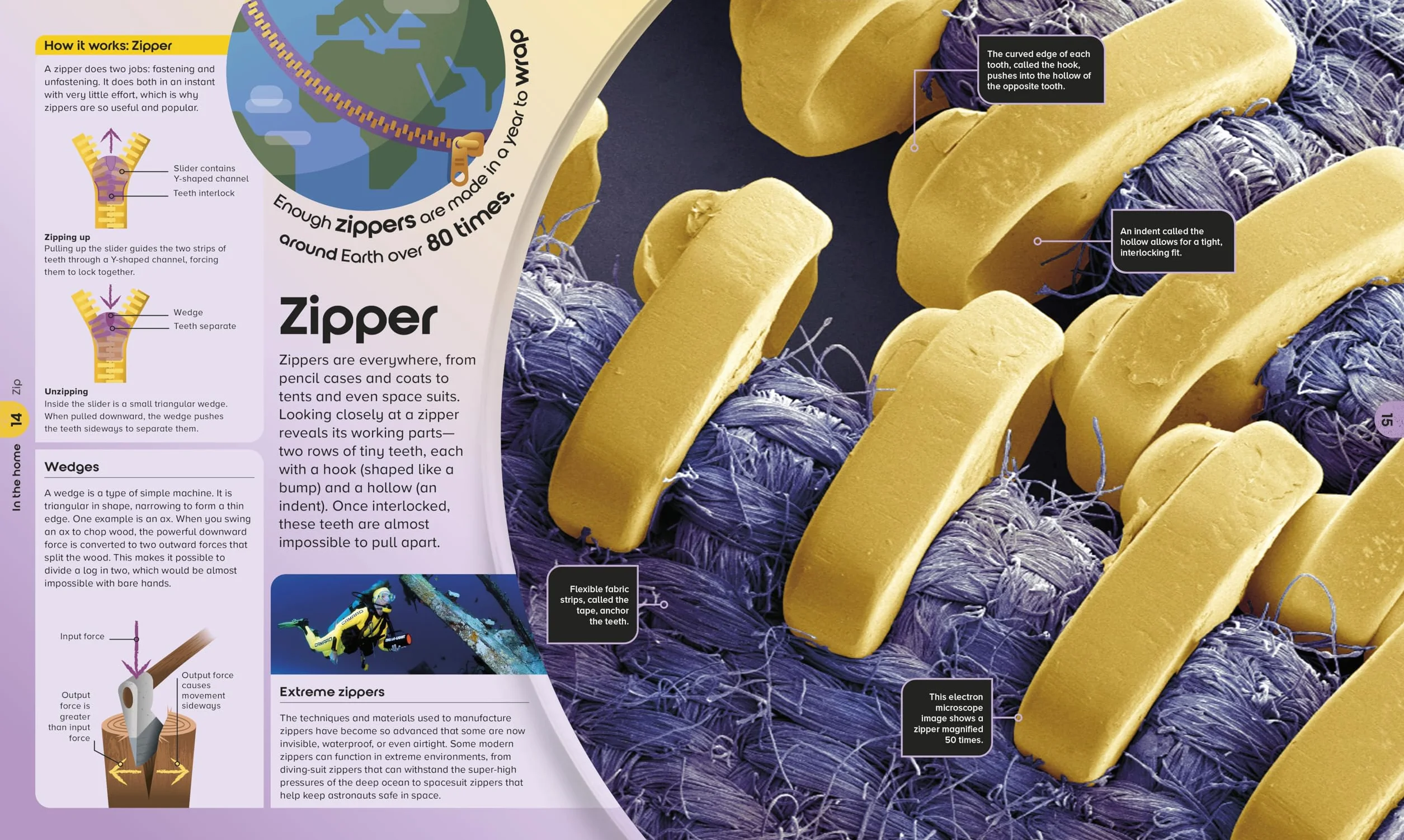 The Miniverse: A Microscopic Journey Into Hidden Worlds