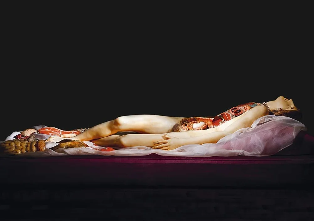 The Anatomical Venus /anglais: Wax / Sex / God / Death