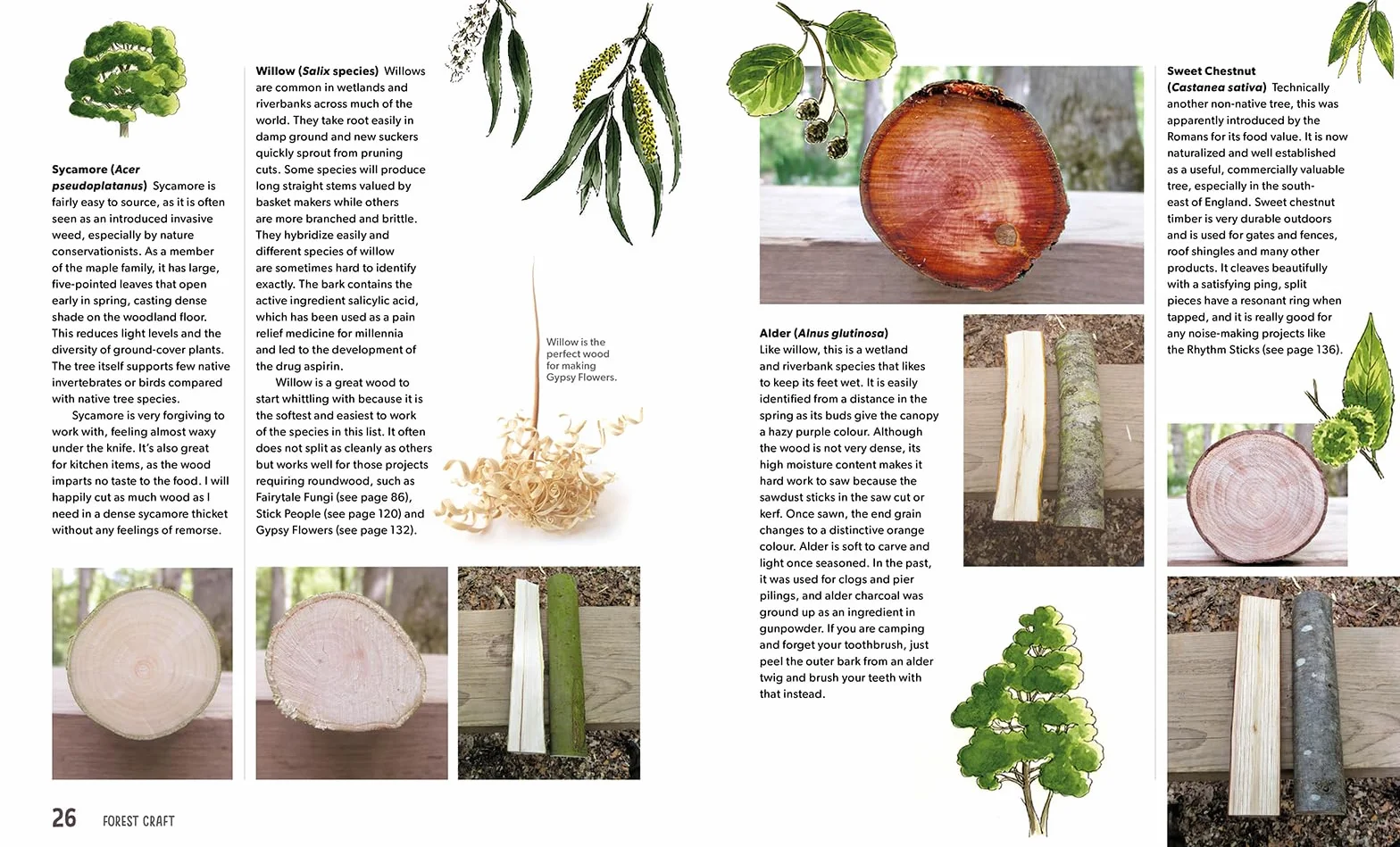 Forest Craft: A Child's Guide to Whittling in the Woodland
