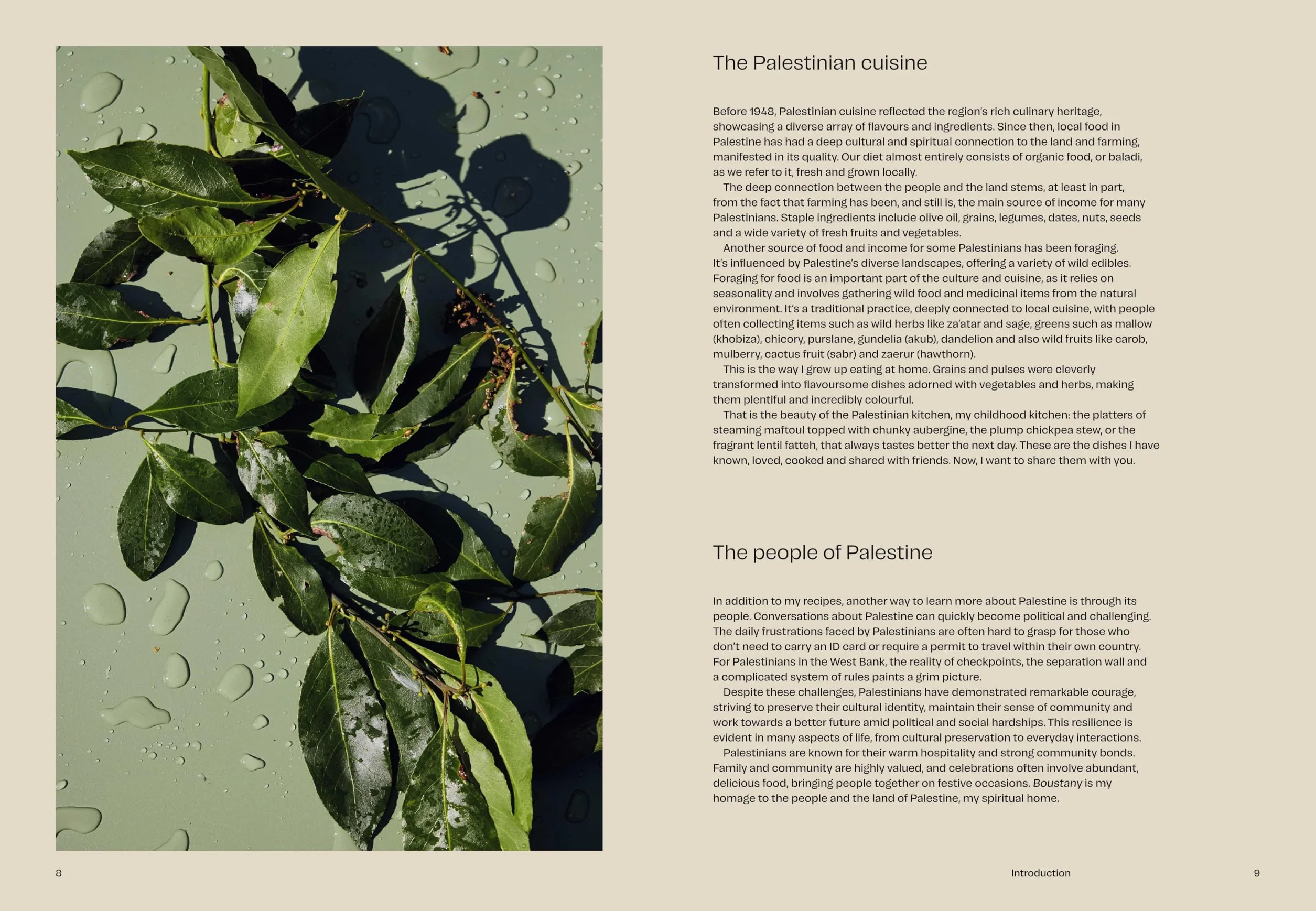 Boustany: A celebration of vegetables from my Palestine: The Sunday Times Bestseller