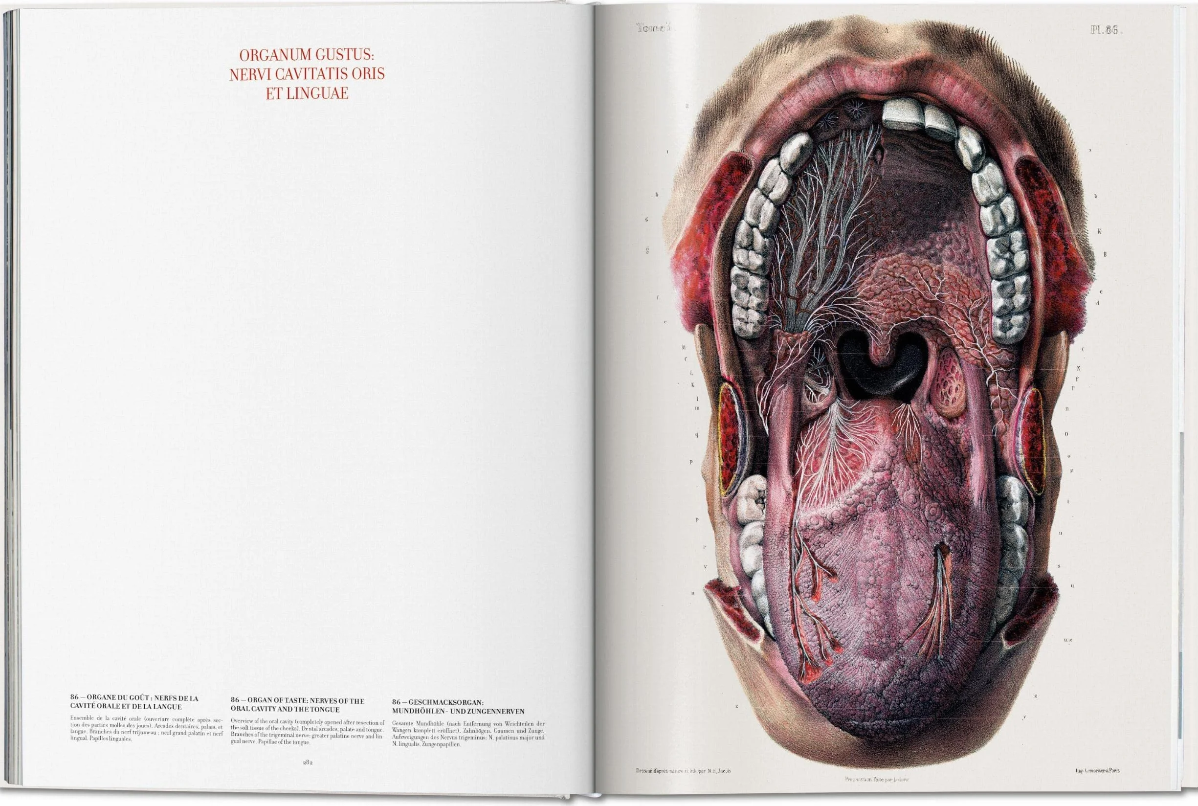 Bourgery. Atlas of Human Anatomy and Surgery