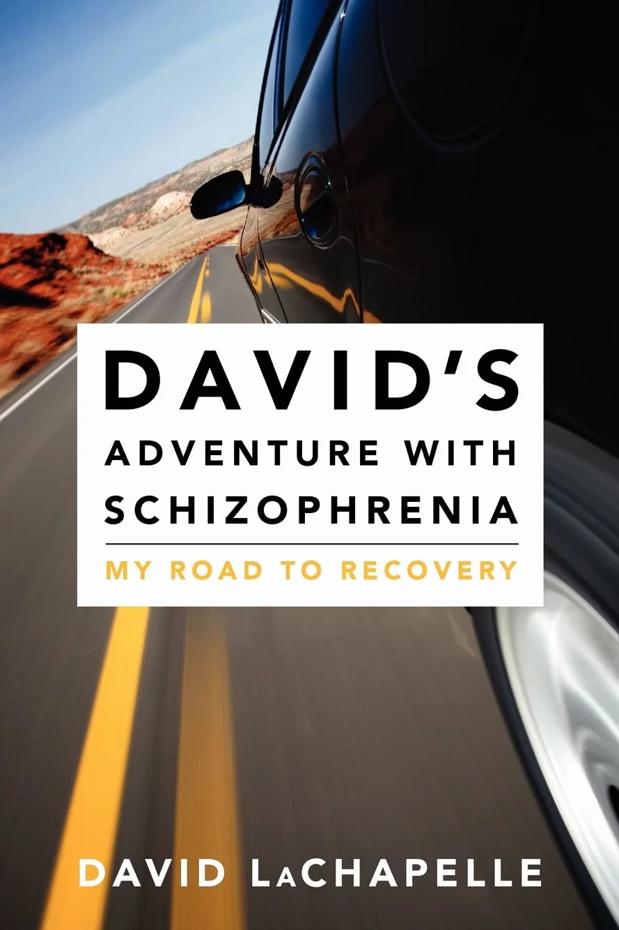 David's Adventure with Schizophrenia: My Road to Recovery: 1