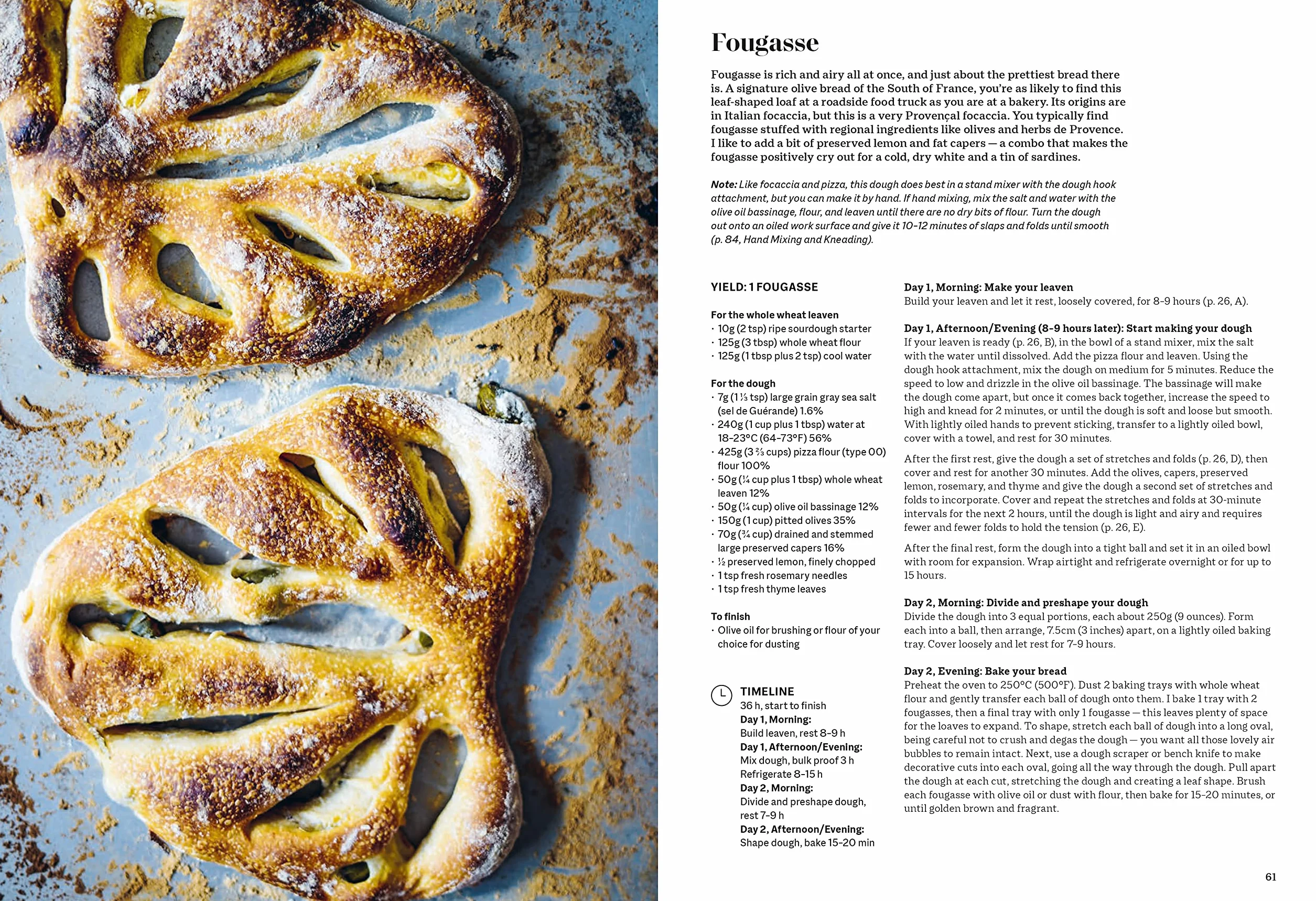 New European Baking: 99 Recipes for Breads, Brioches and Pastries