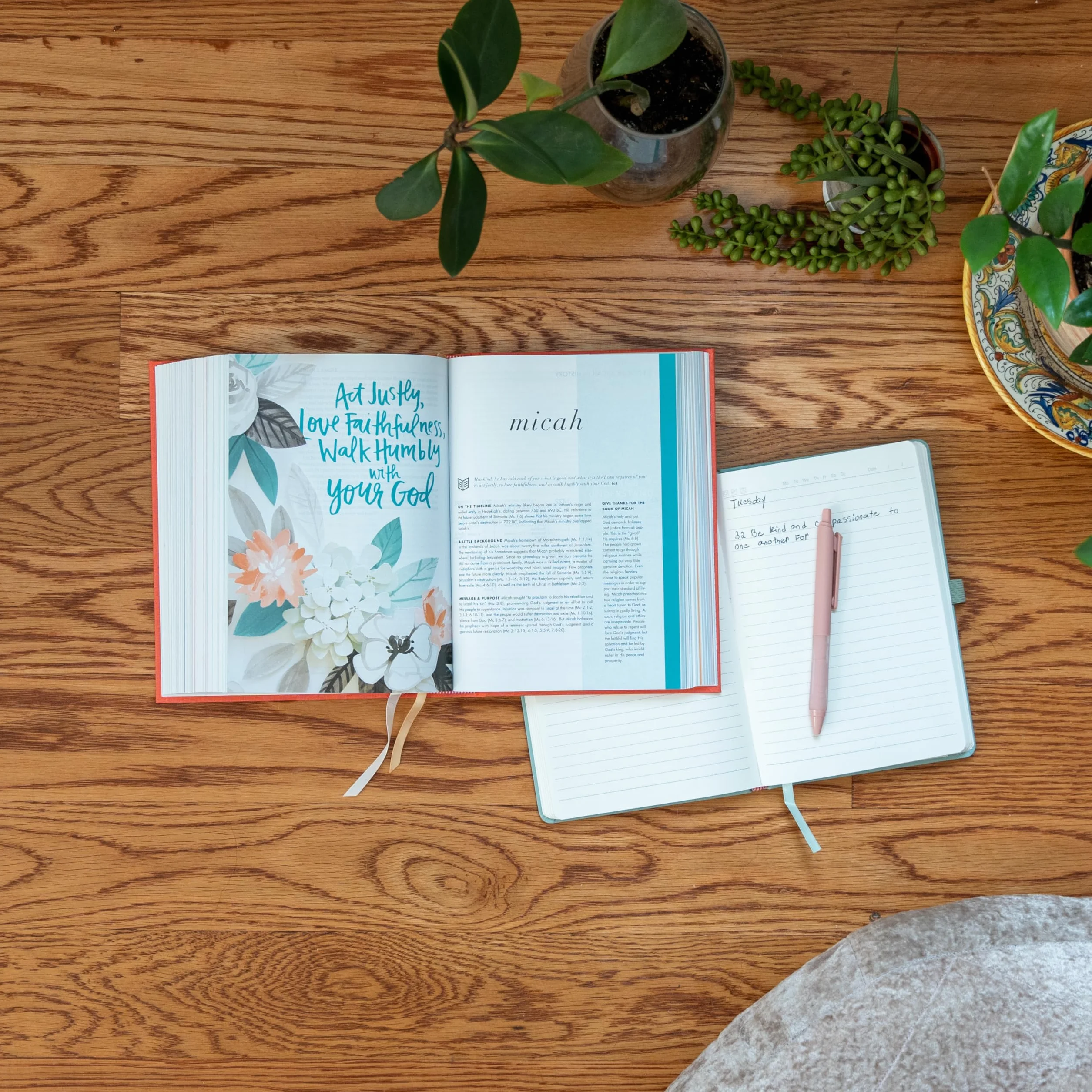 CSB She Reads Truth Bible, Poppy Linen: Notetaking Space, Devotionals, Reading Plans, Easy-To-Read Font