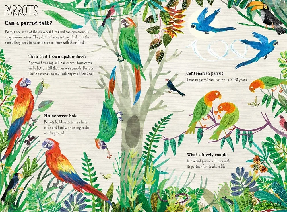 The Big Book of Birds: 0