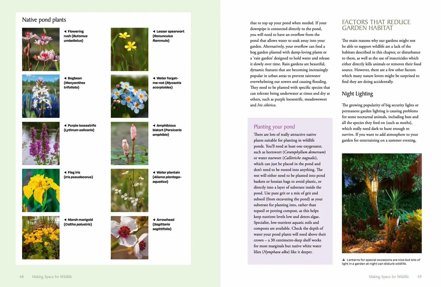 The National Trust Book of Nature-Friendly Gardening: An inspiring and practical guide to greener gardening