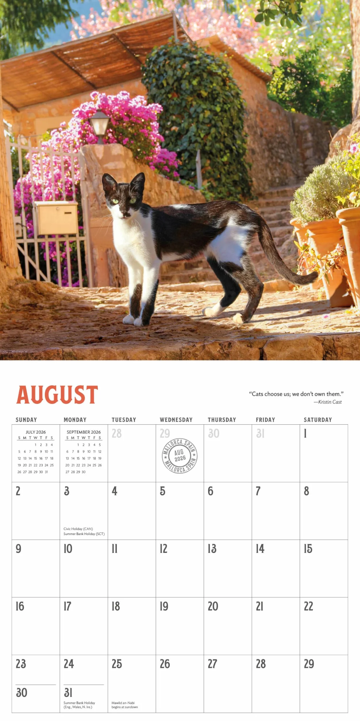 Travel Cats Wall Calendar 2026