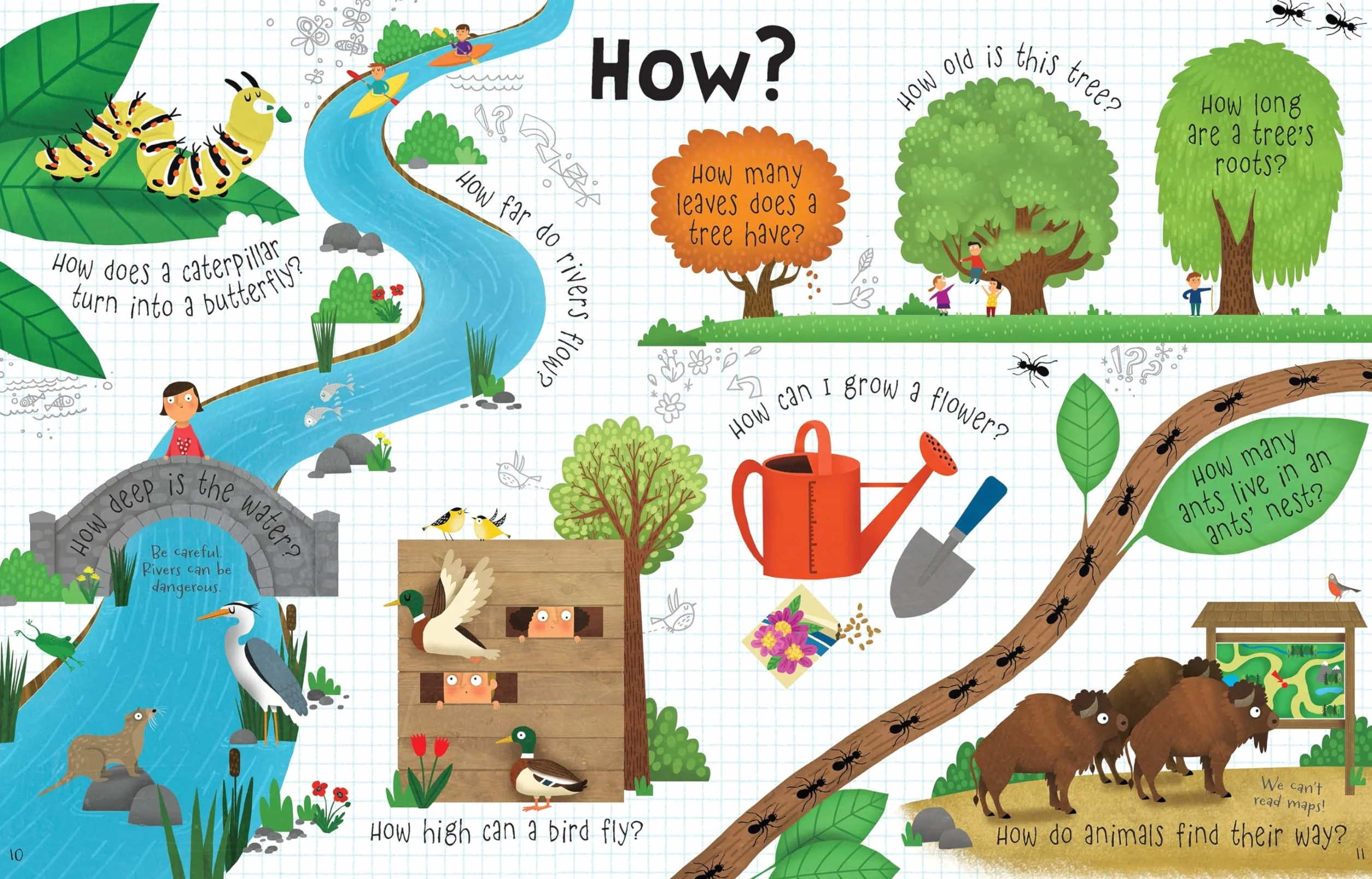 Lift the Flap Questions and Answers About Nature (Lift-the-Flap First Questions and Answers): 1 (Questions & Answers)