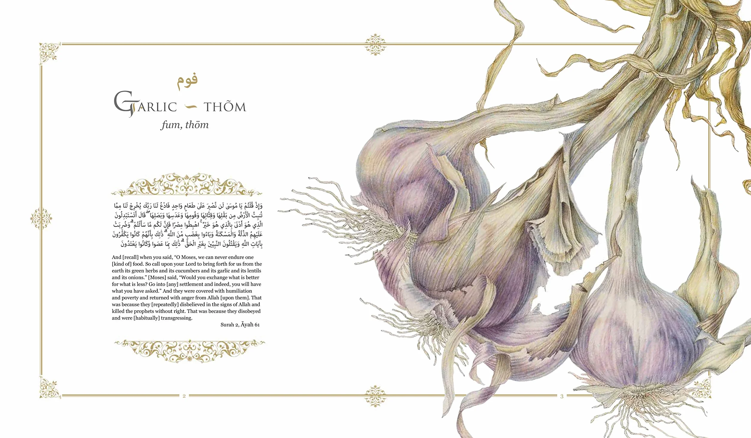 Plants of the Quran: History & Culture