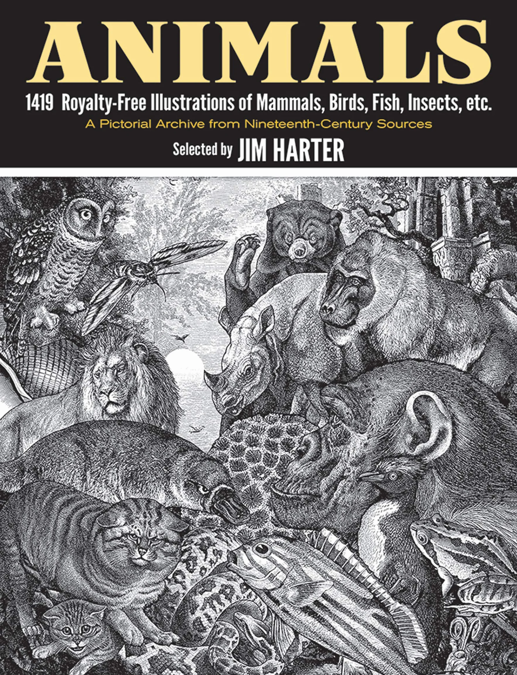 Animals:: 1419 Royalty-Free Illustrations of Mammals, Birds, Fish, Insects, Etc.