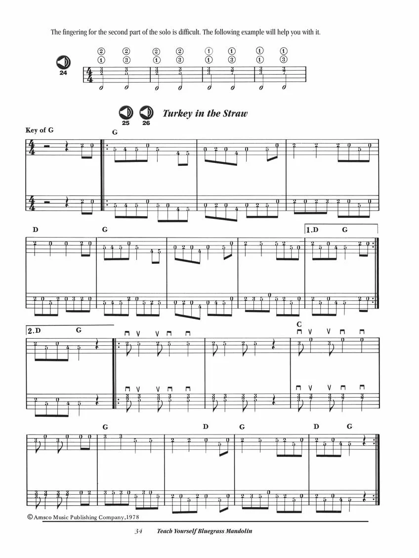 Teach Yourself Bluegrass Mandolin: (E)
