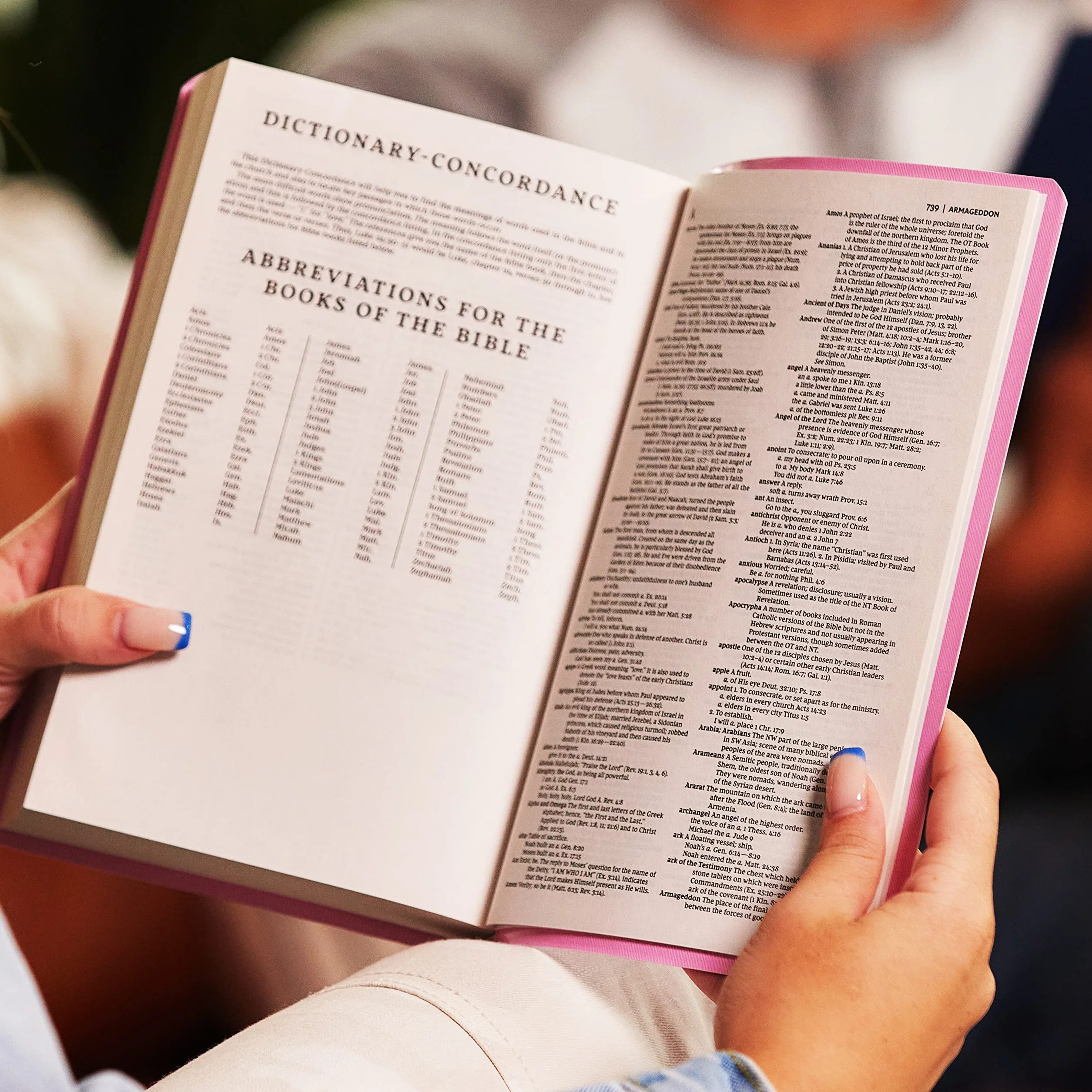 NKJV, Gift and Award Bible, Leather-Look, Pink, Red Letter Edition: Holy Bible, New King James Version
