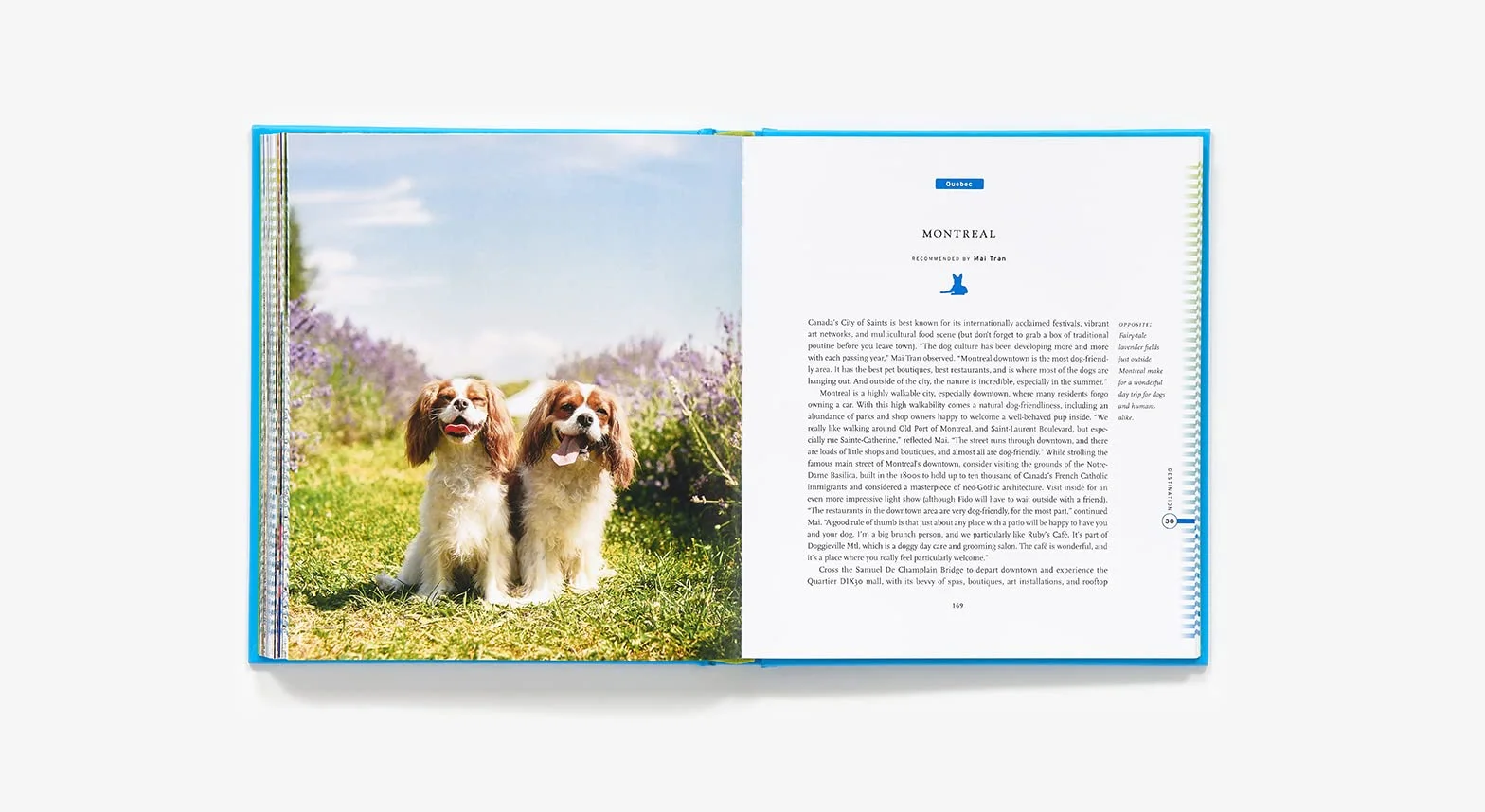 Fifty Places to Travel with Your Dog Before You Die: Dog Experts Share the World's Greatest Destinations