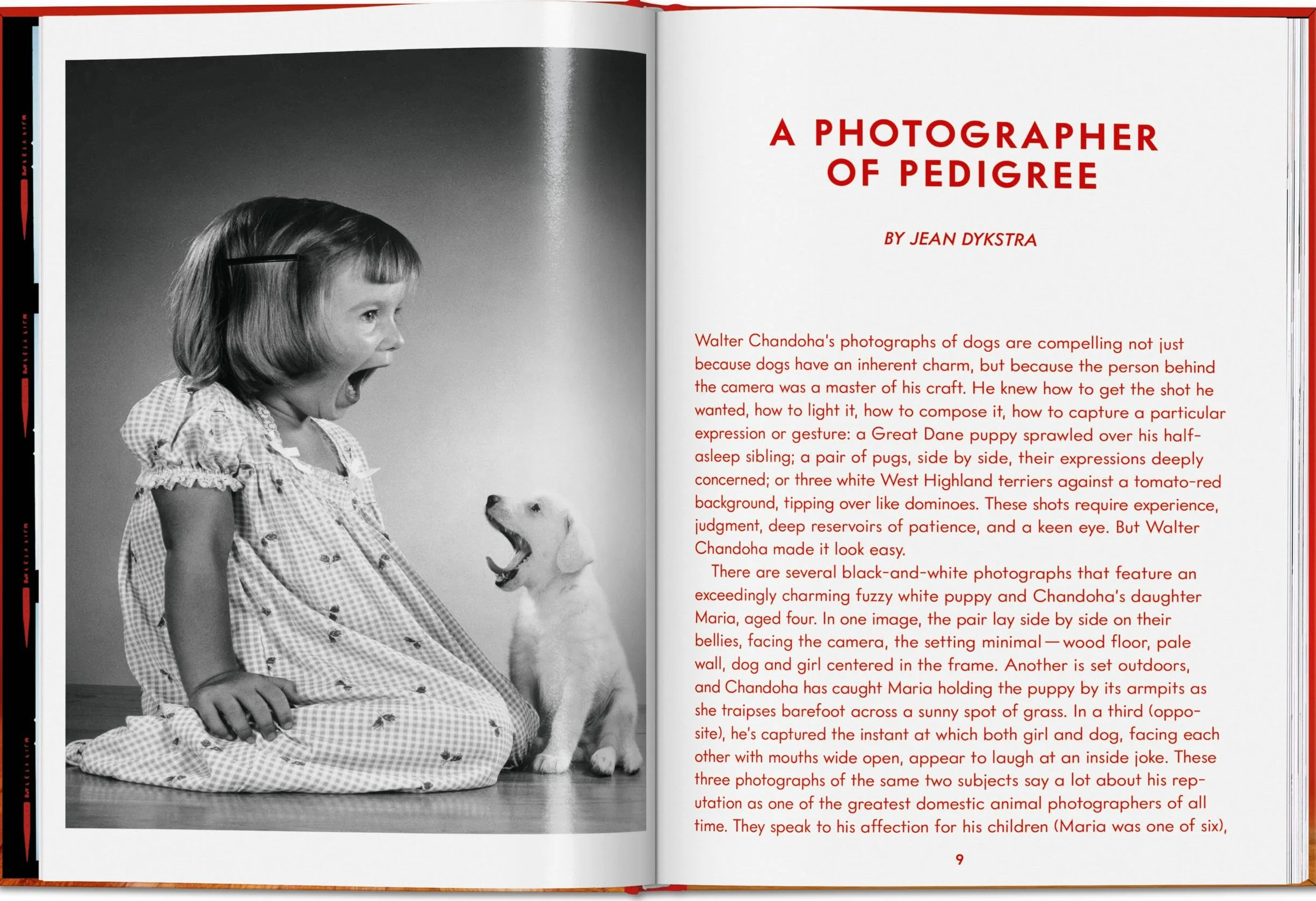 Walter Chandoha. Dogs. Photographs 1941-1991