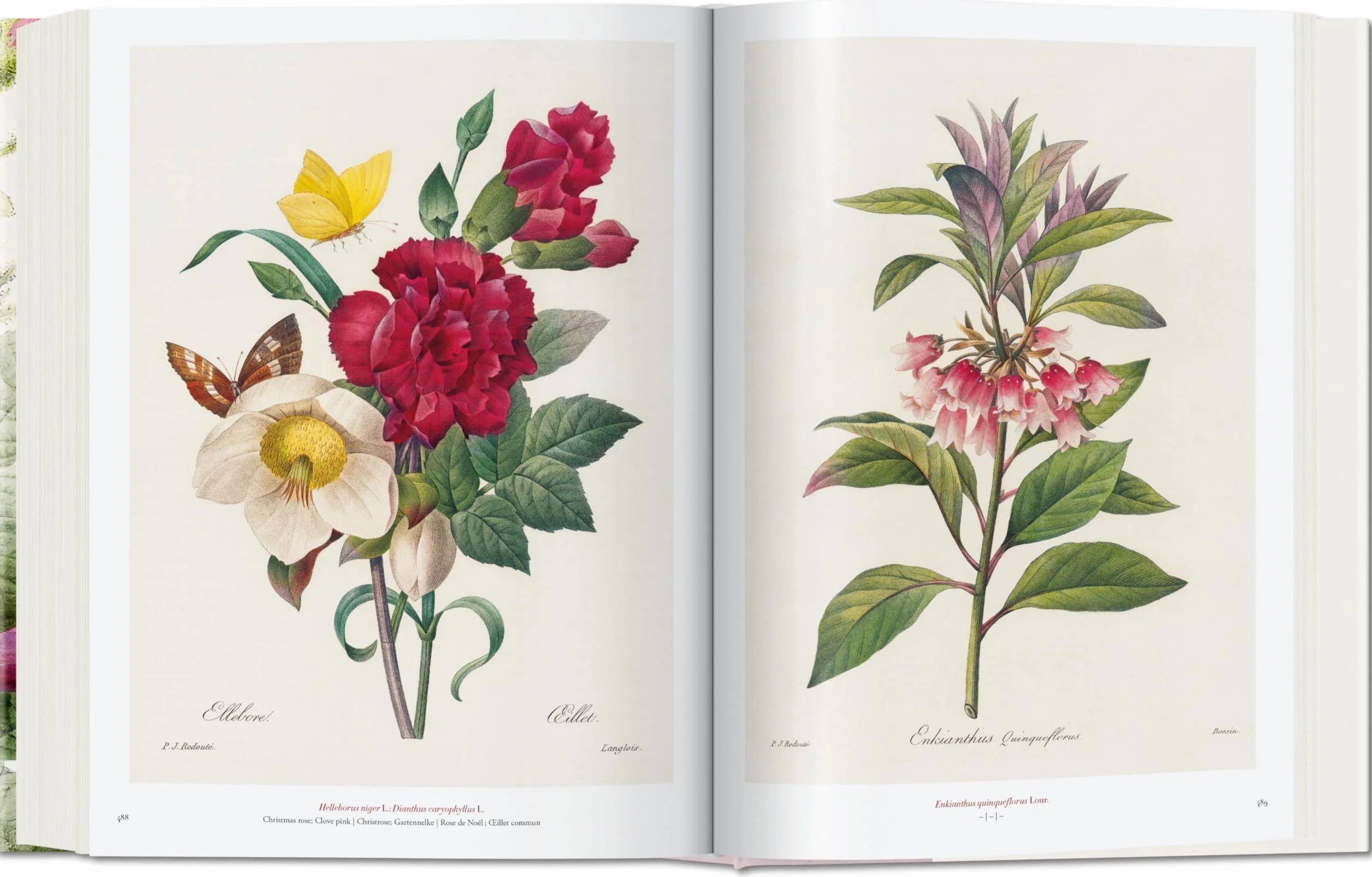 Redouté: The book of flowers