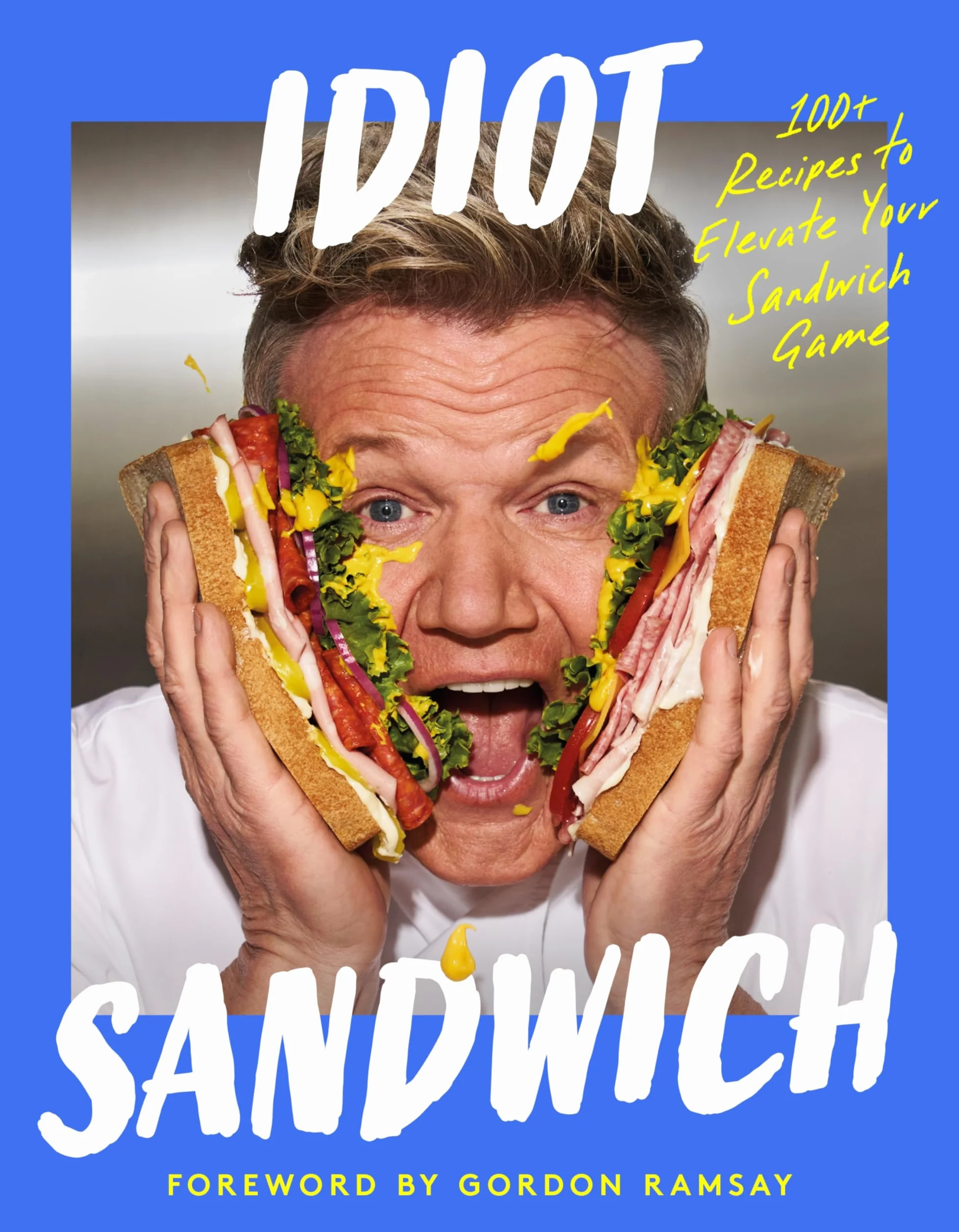 Idiot Sandwich: 100+ Recipes to Elevate Your Sandwich Game