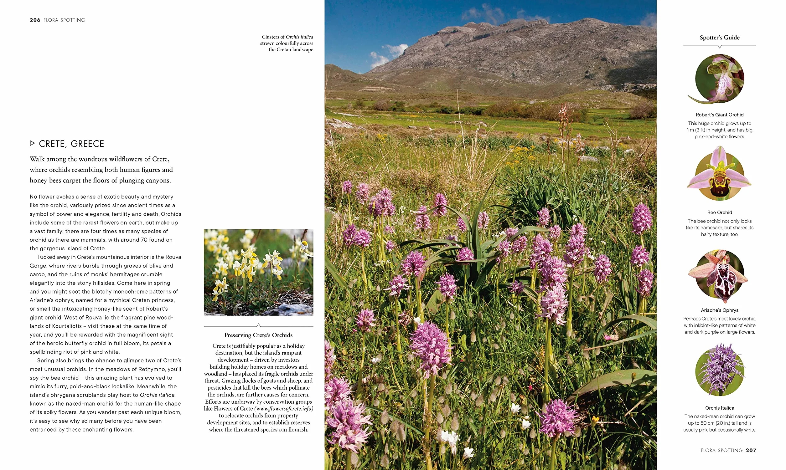 Outdoor Europe