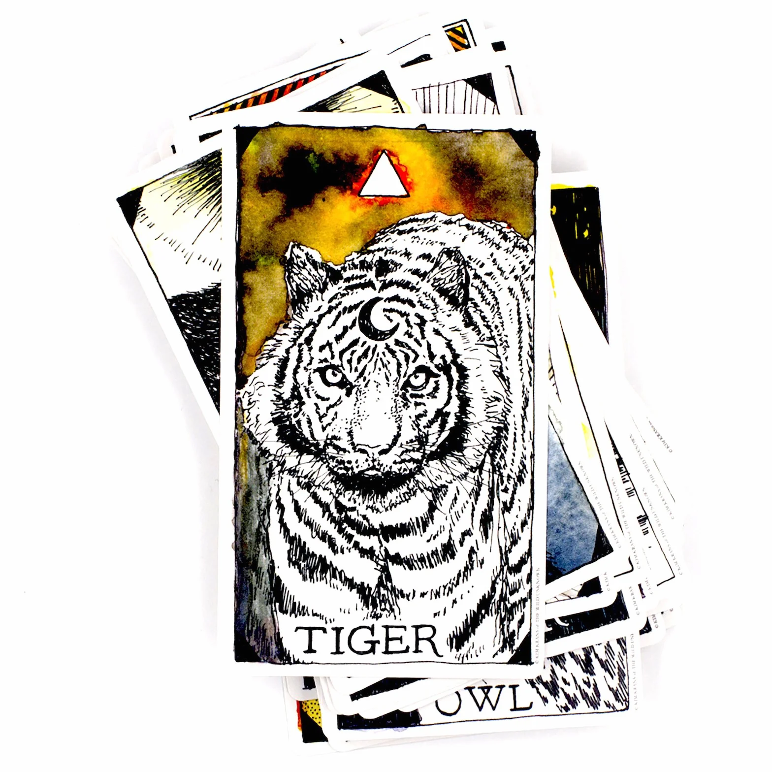 The Wild Unknown Animal Spirit Deck and Guidebook (Official Keepsake Box Set)