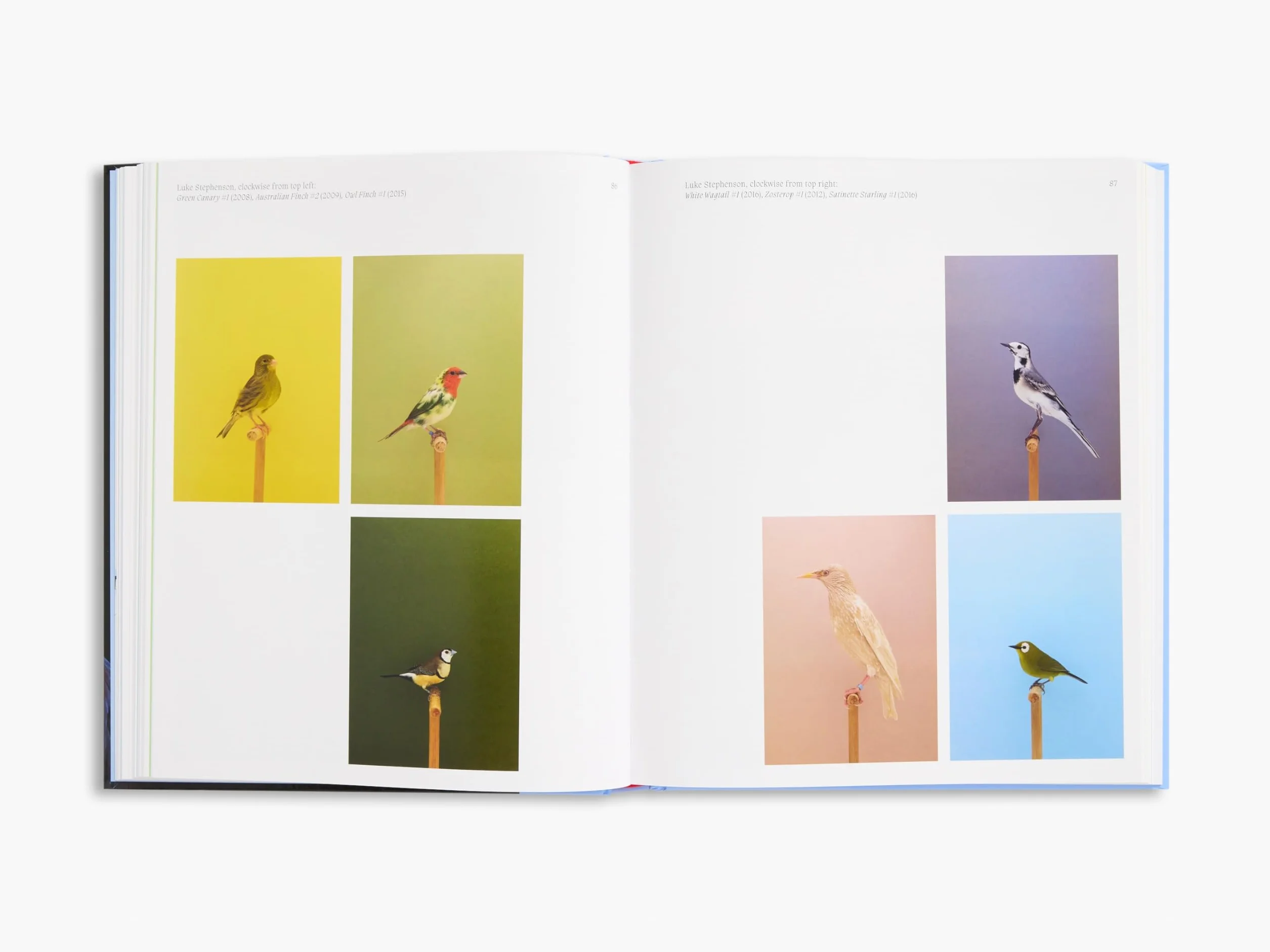 Aviary The Bird in Contemporary Photography /anglais