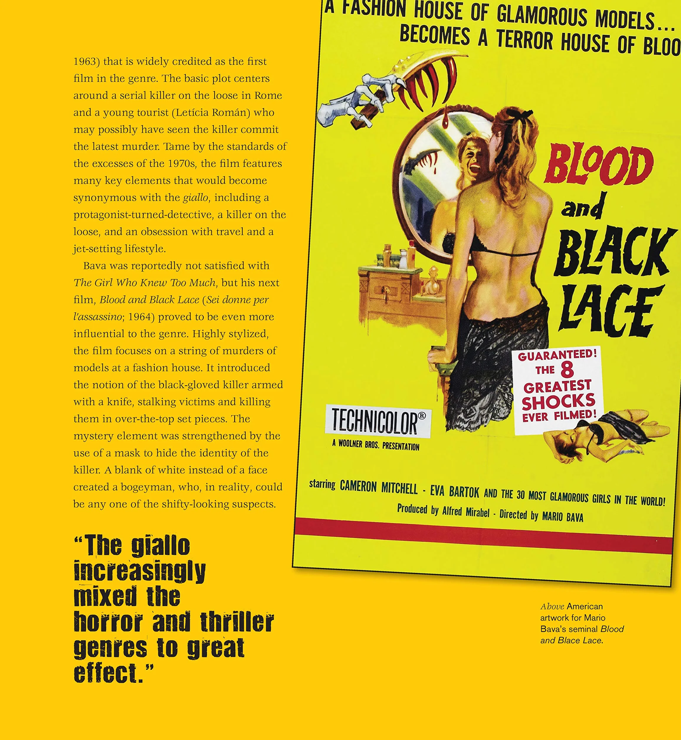 The Teenage Slasher Movie Book, 2nd Revised and Expanded Edition