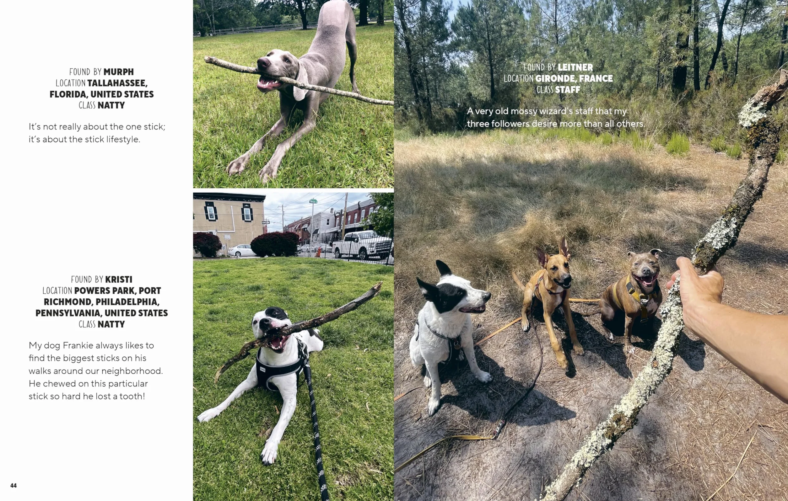Sticks: A Collection of Sticks & the People Who Love Them, from the Founders of Stick Nation