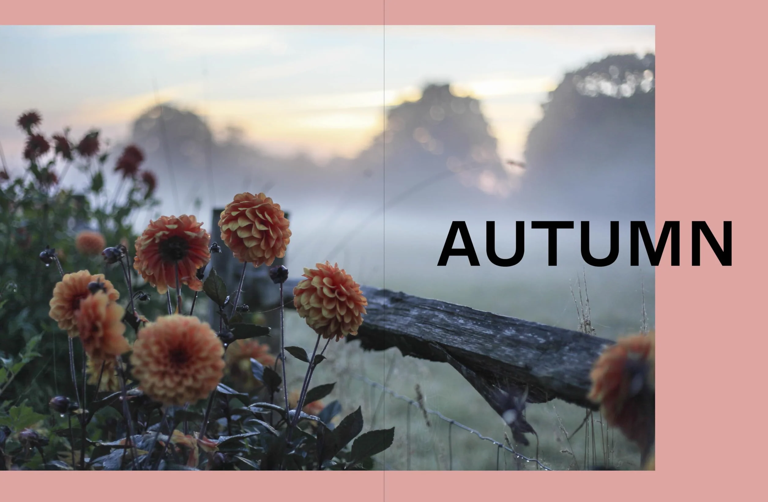 Life in Bloom: Grow, Gather & Arrange Seasonal Flowers