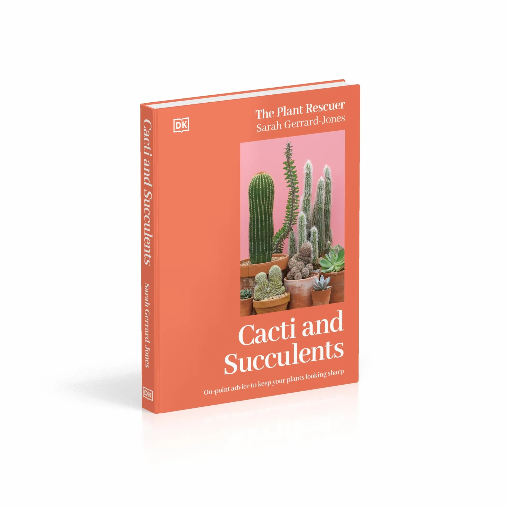 Cacti and Succulents: The Plant Rescuer's On-point Advice to Keep Your Plants Looking Sharp