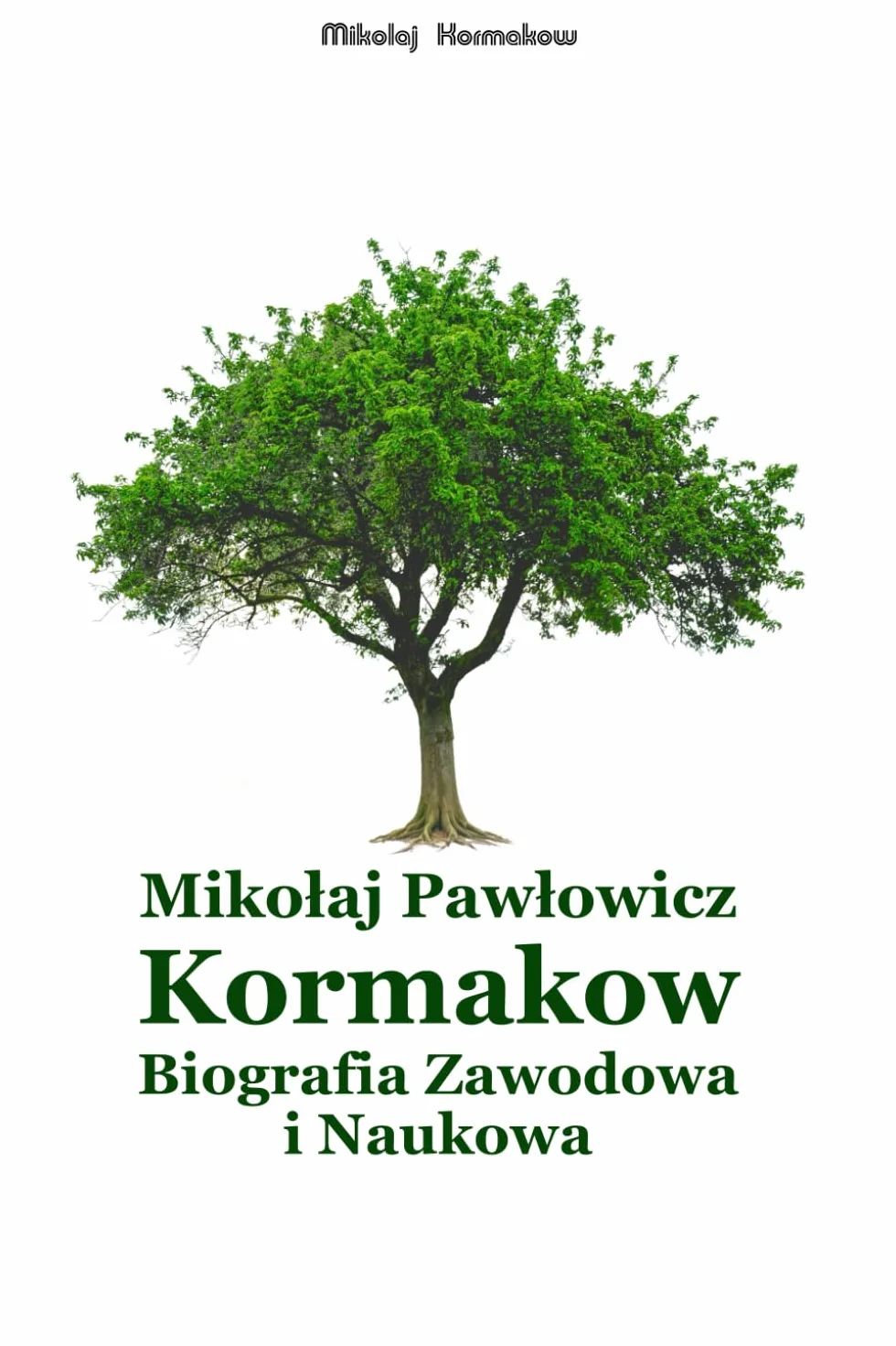 Mikołaj Pawłowicz Kormakow: Biografia Zawodowa i Naukowa
