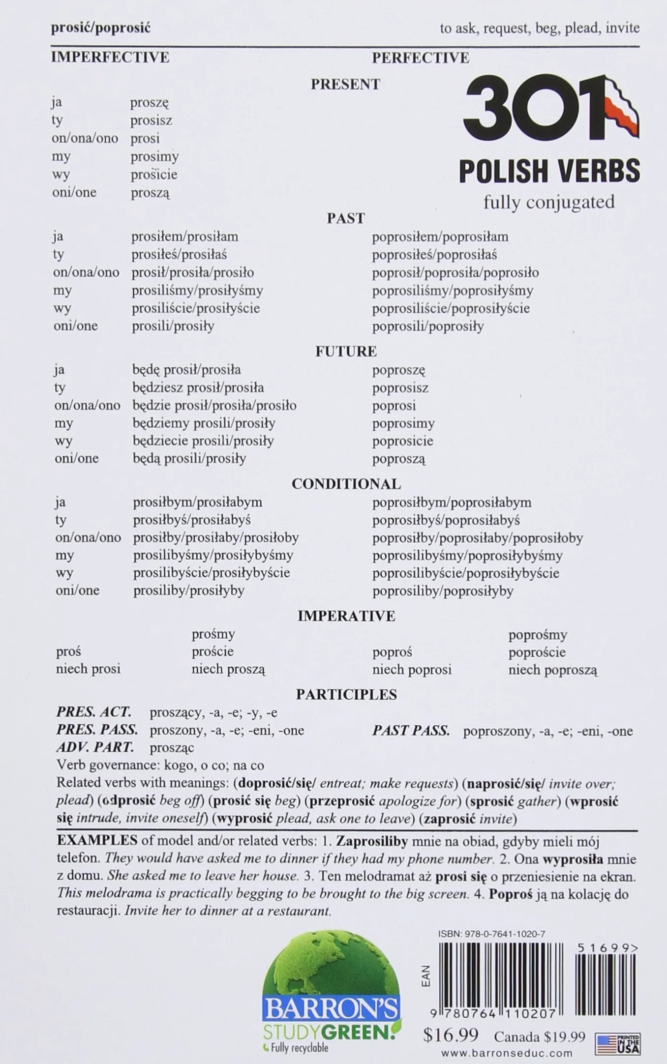 301 Polish Verbs