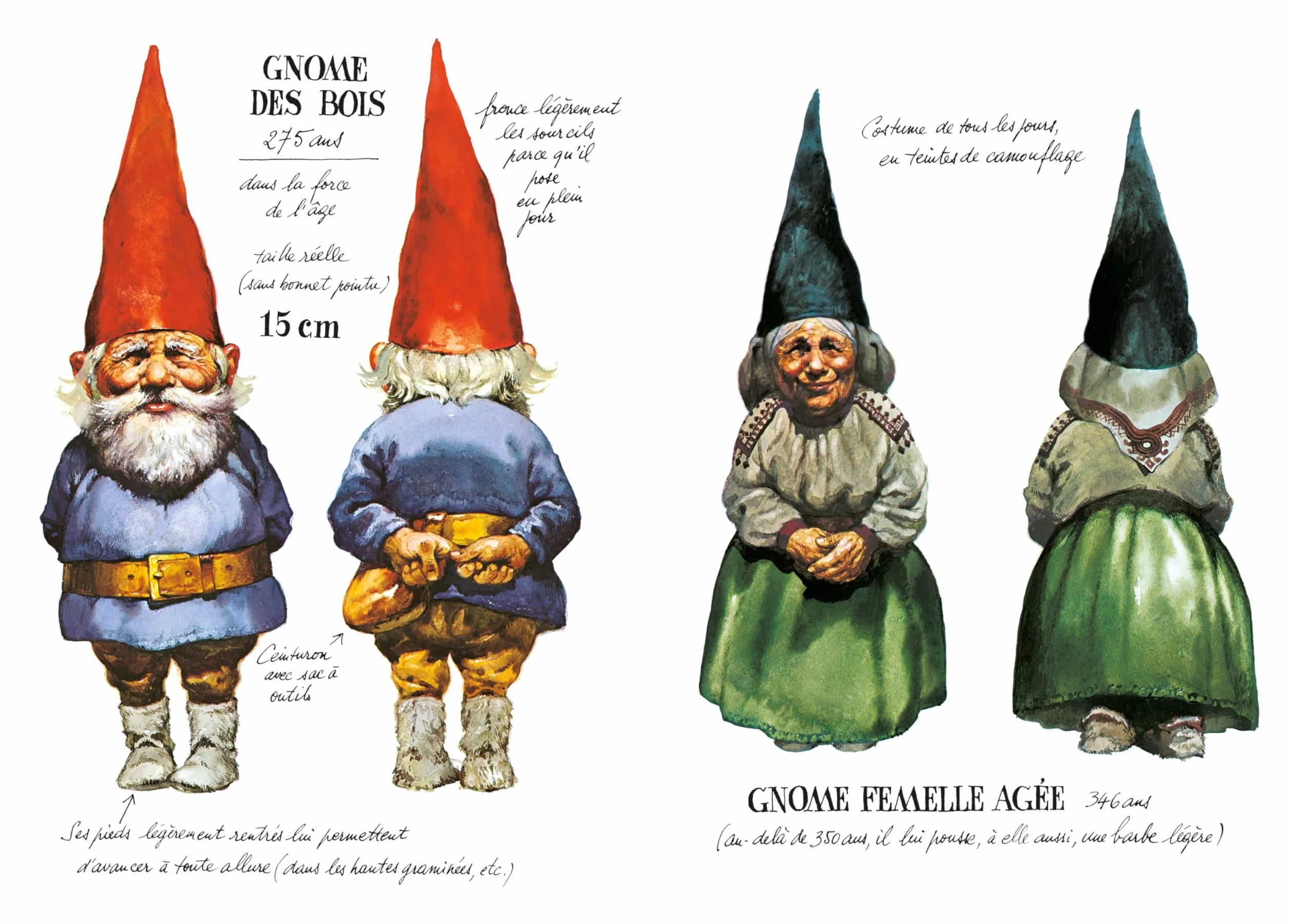 Les Gnomes