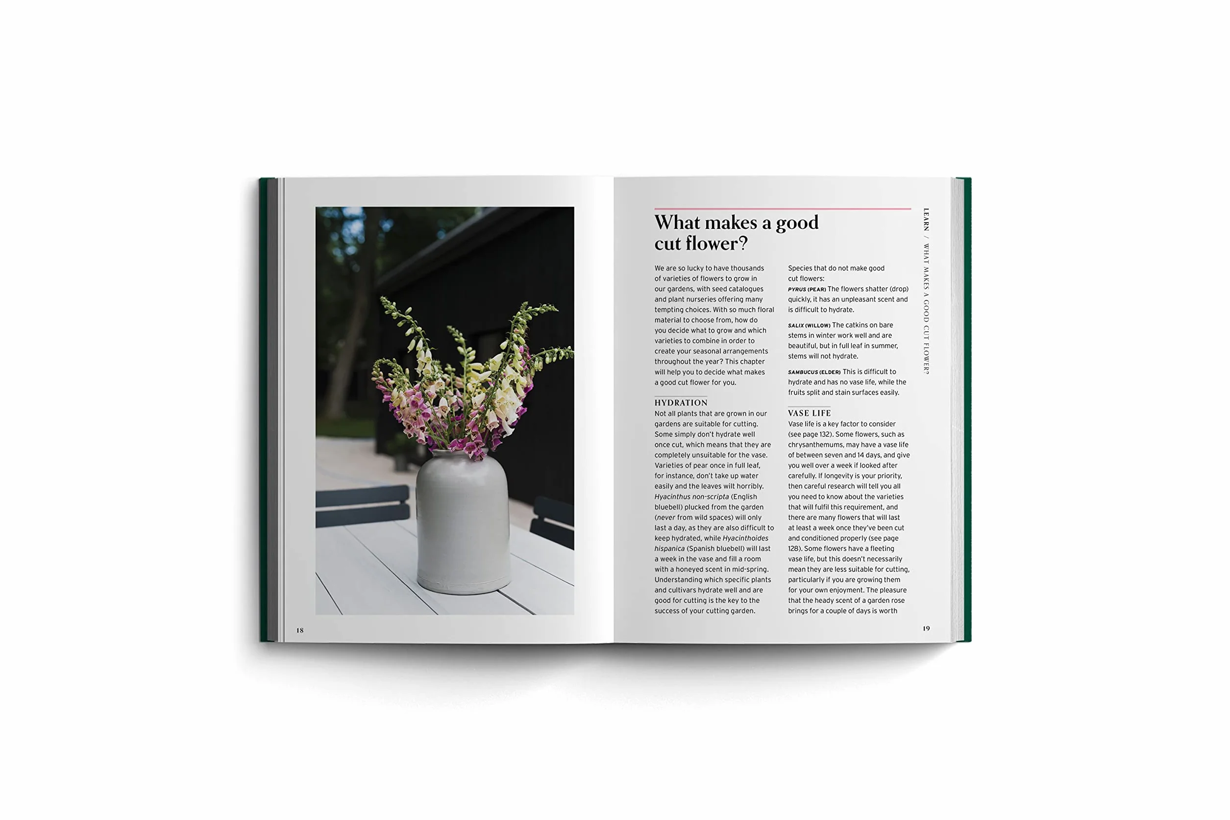 Cut Flowers (Bloom's Gardener Guide) /anglais: Bloom Gardener's Guide: Prepare the Ground, Sow Seed, Nurture, Harvest, Fill Your Vases: 3