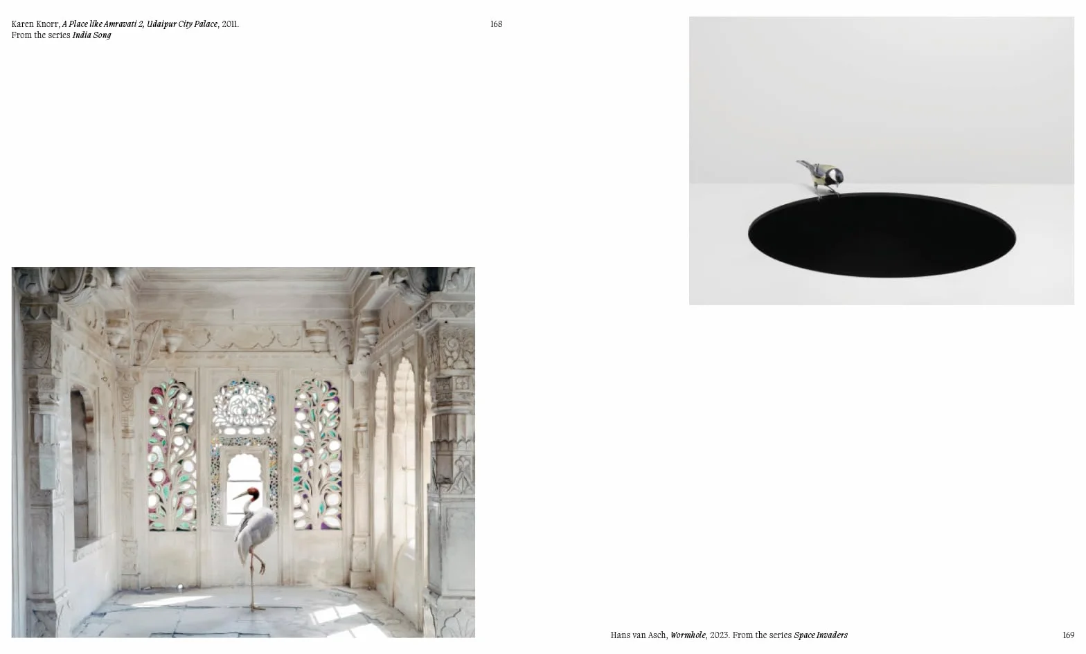 Aviary The Bird in Contemporary Photography /anglais