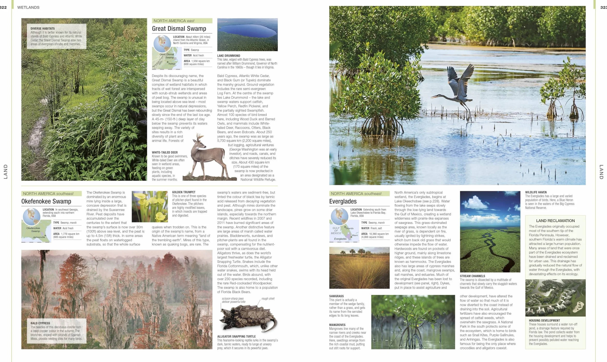 Earth: The Definitive Visual Guide