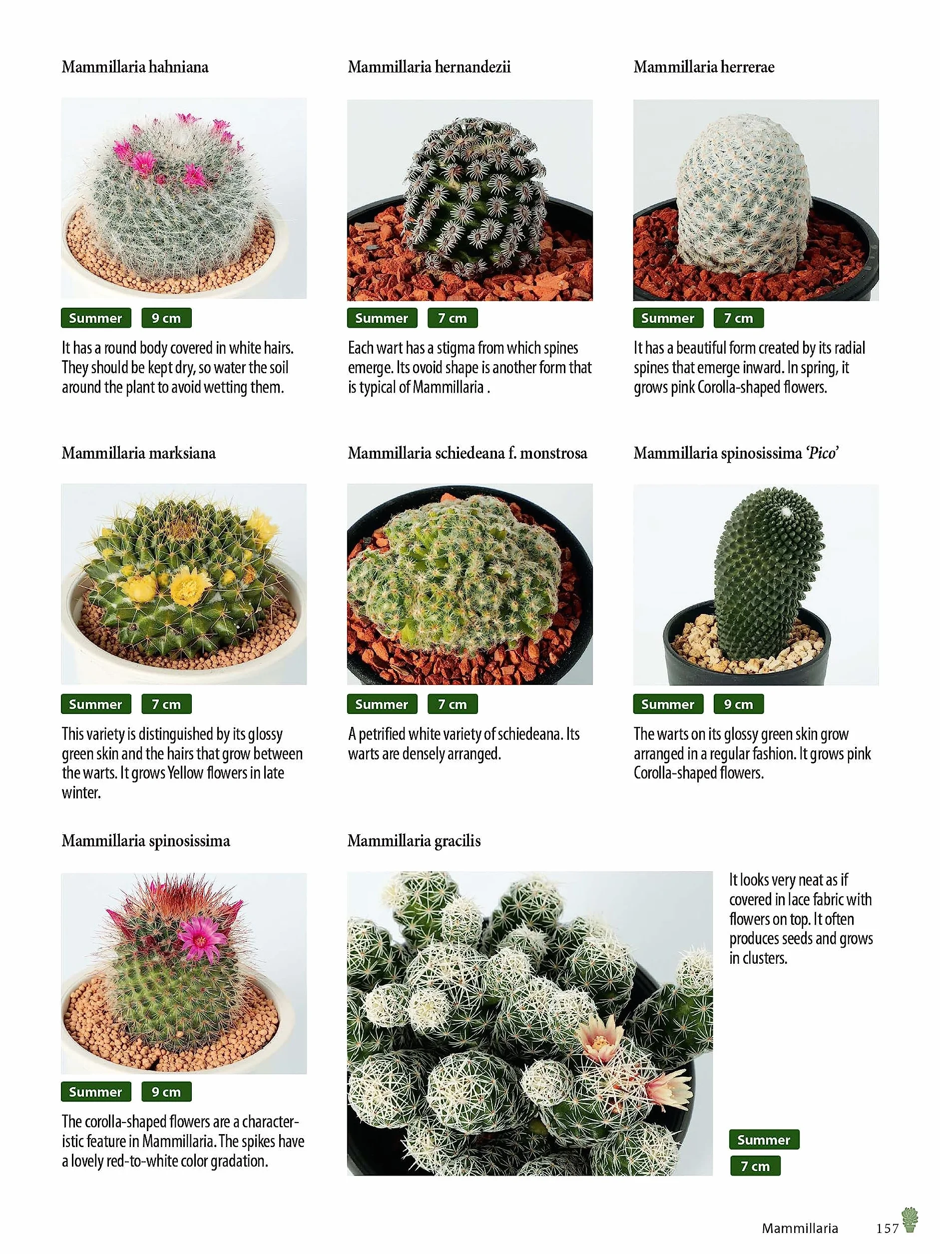 Growing Succulents: A Pictorial Guide (Over 1,500 Photos and 700 Plants)